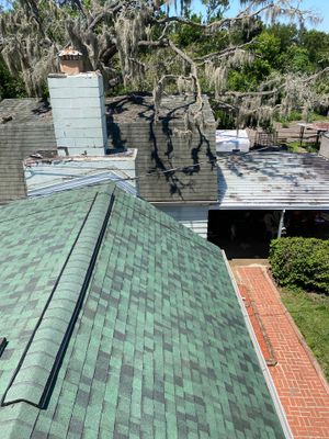 New Port Richey, FL