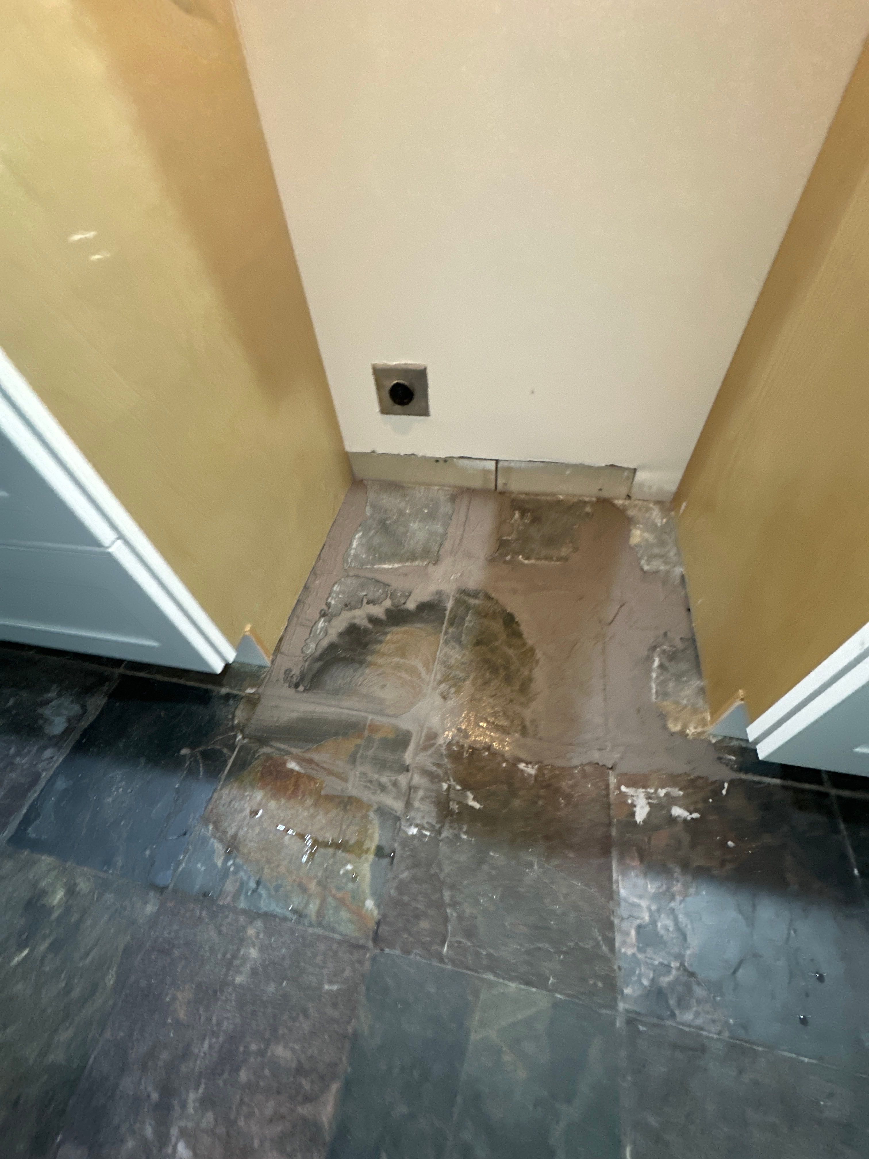 Project in Seattle by Master Restoration 