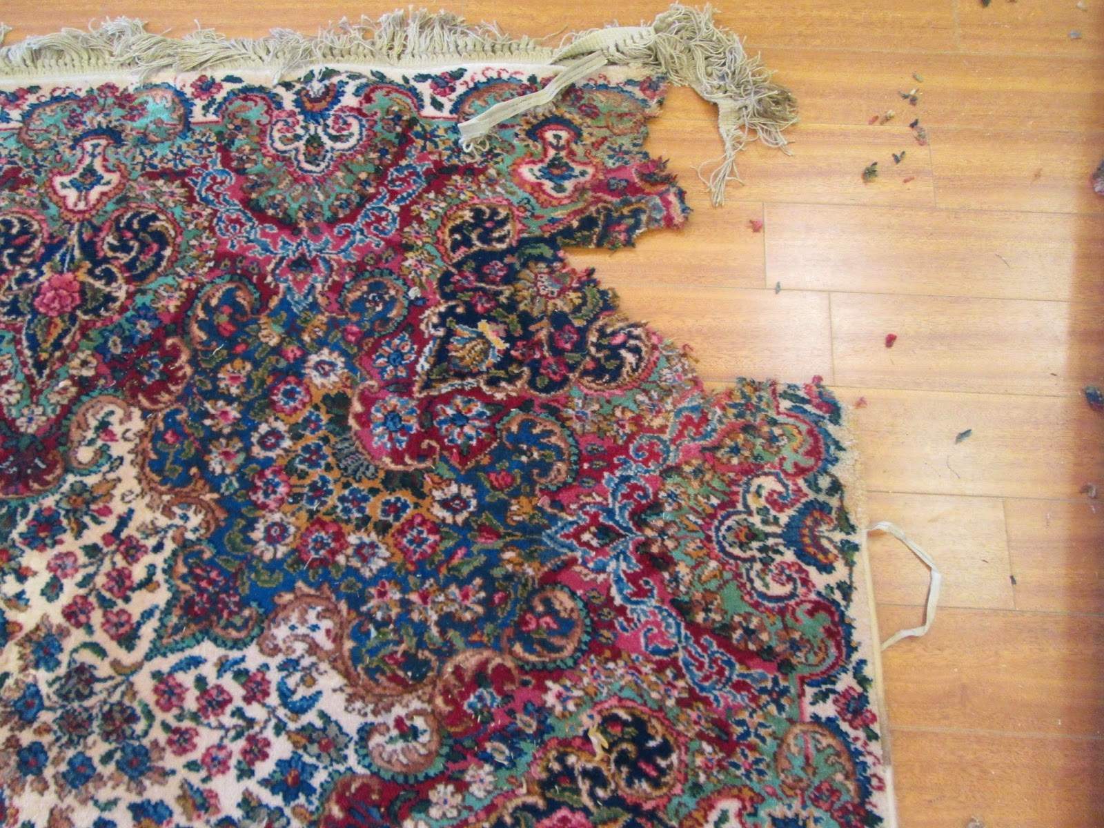 Project by Rug Ideas by Rug Ideas
