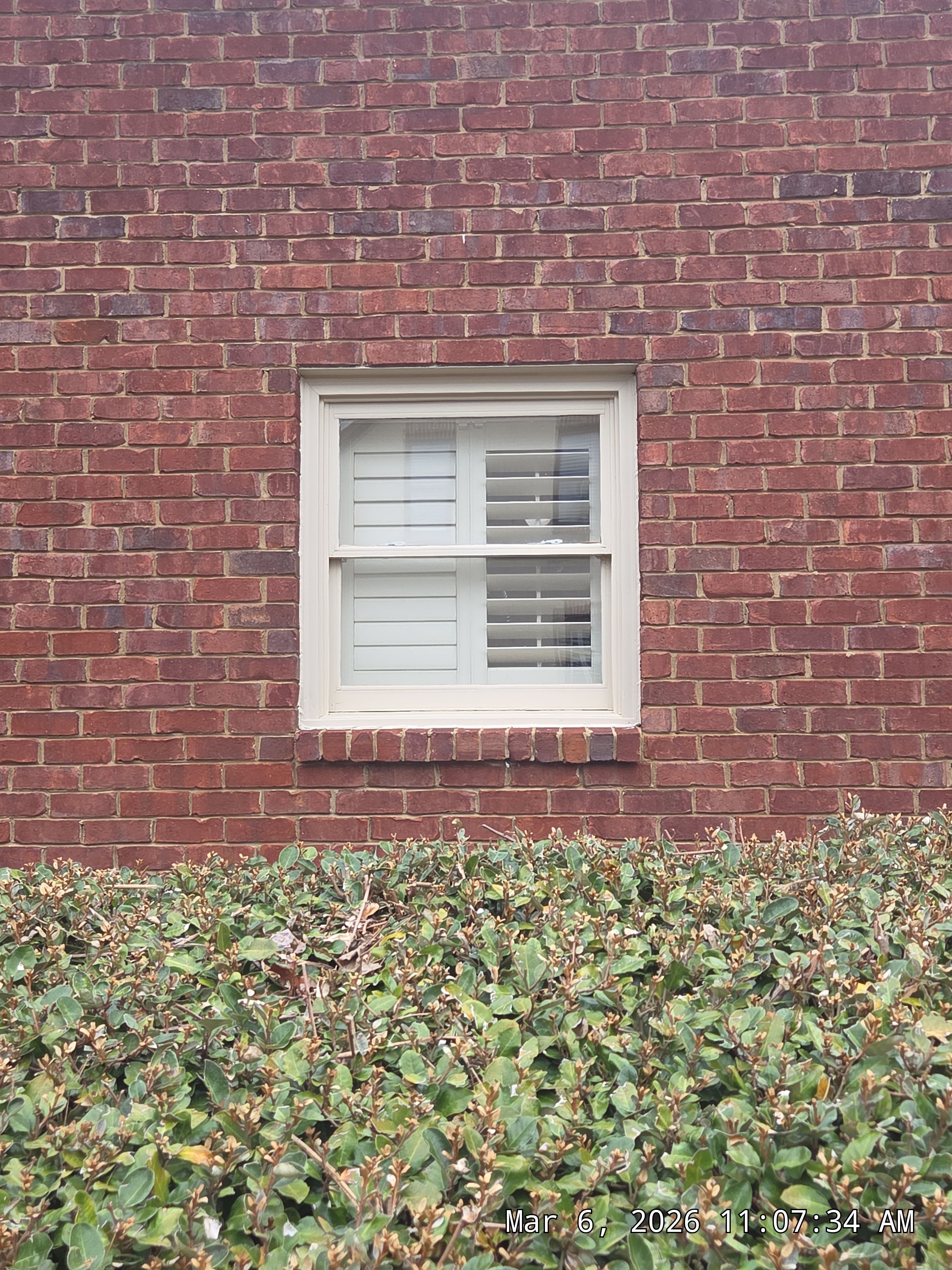 Zwiebel Project in Hoover by The Window Source