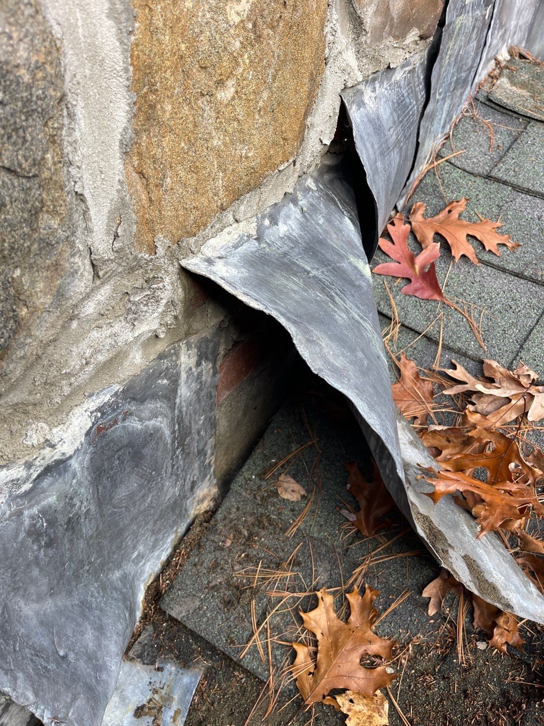  "Leak-Free Living: Expert Shingle Repairs for Lasting Protection!"  by Sensible Home Solutions
