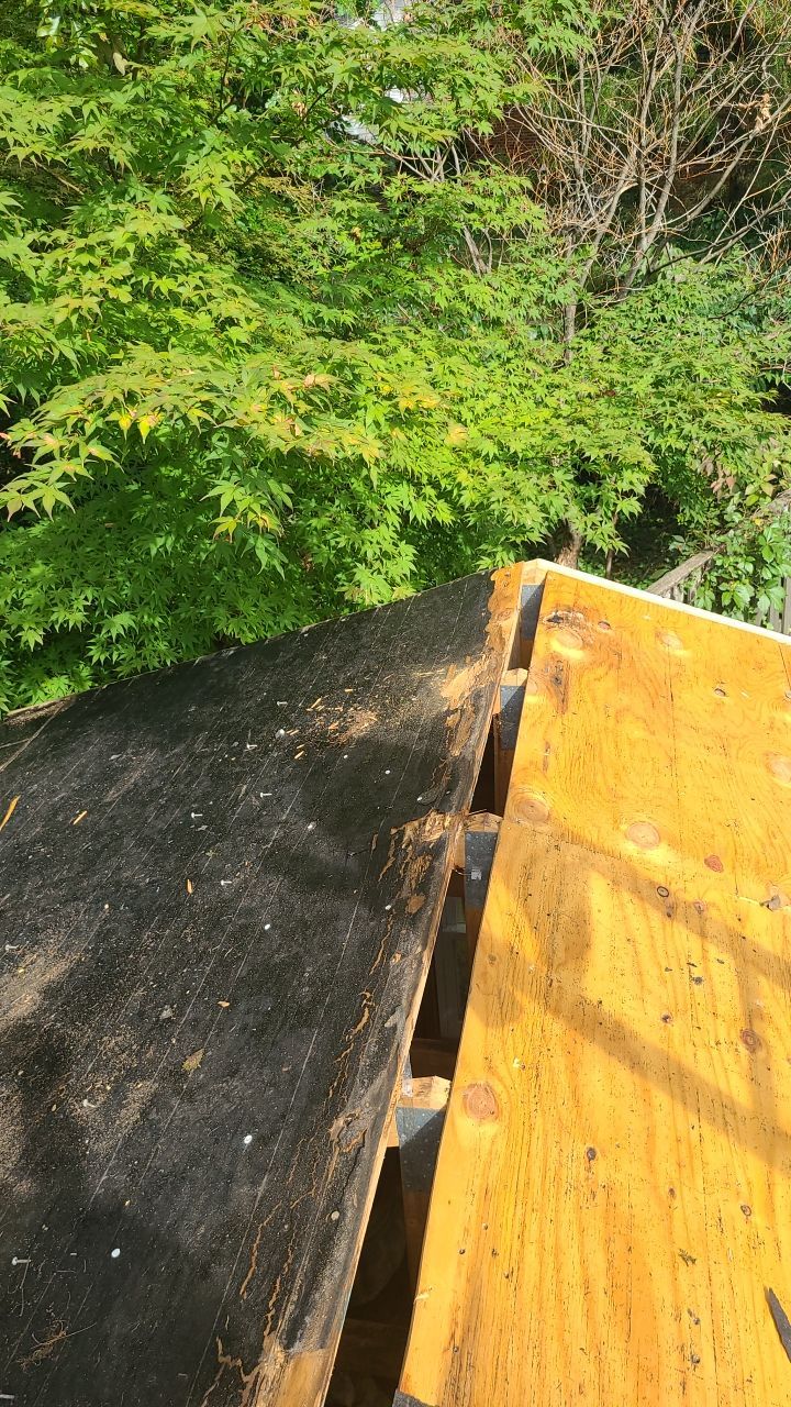 Arlington: CertainTeed Landmark Pro Designer Shingles in Max Def Heather Blend by RM Banning, Inc.