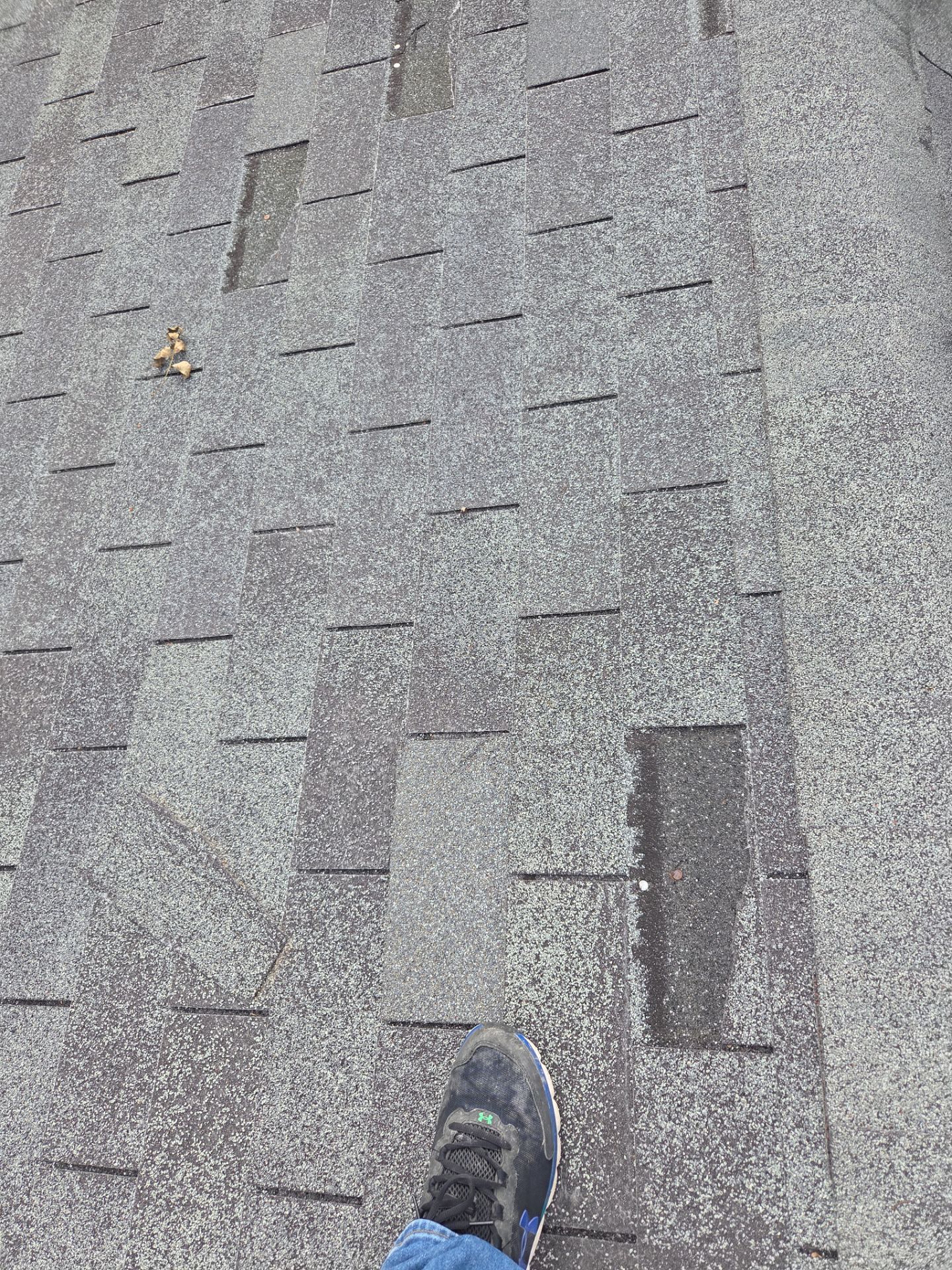 Asphalt Roof Replacement in Warrior by NANOROOF Alabama