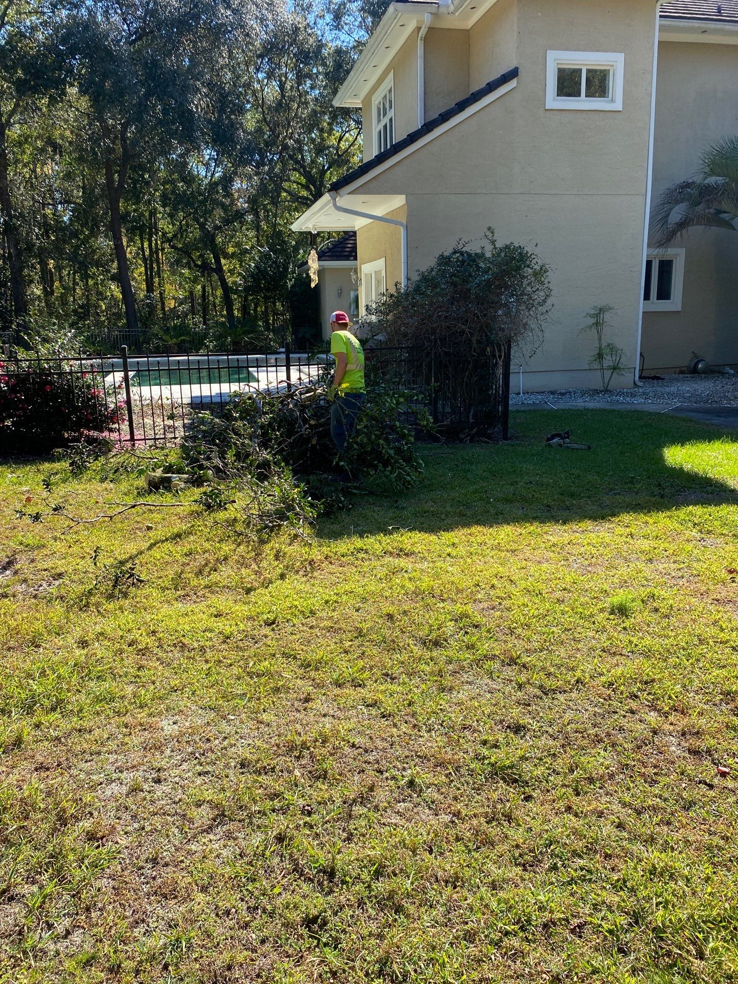 Deerwood Residence | Tree Work by ProGreen Services