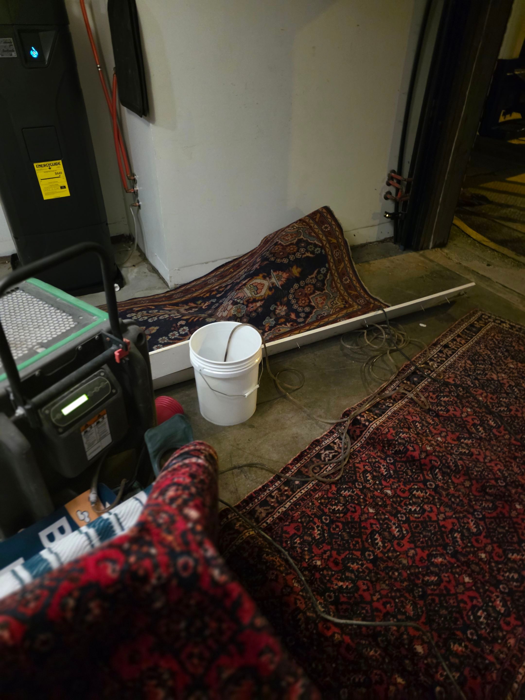 Anna and Allan Branch  by Service Restoration