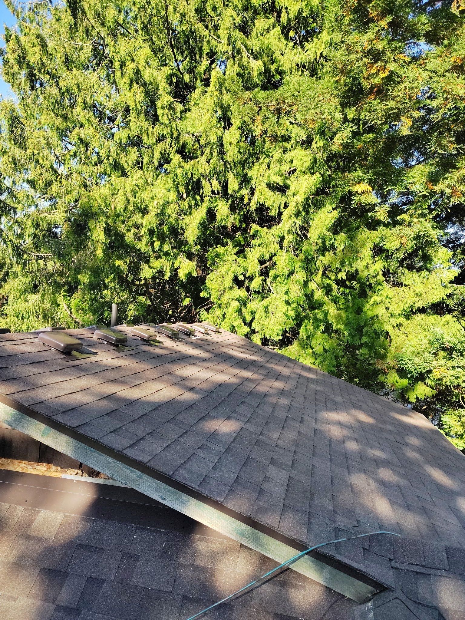 Project in Gresham by Tom Leach Roofing