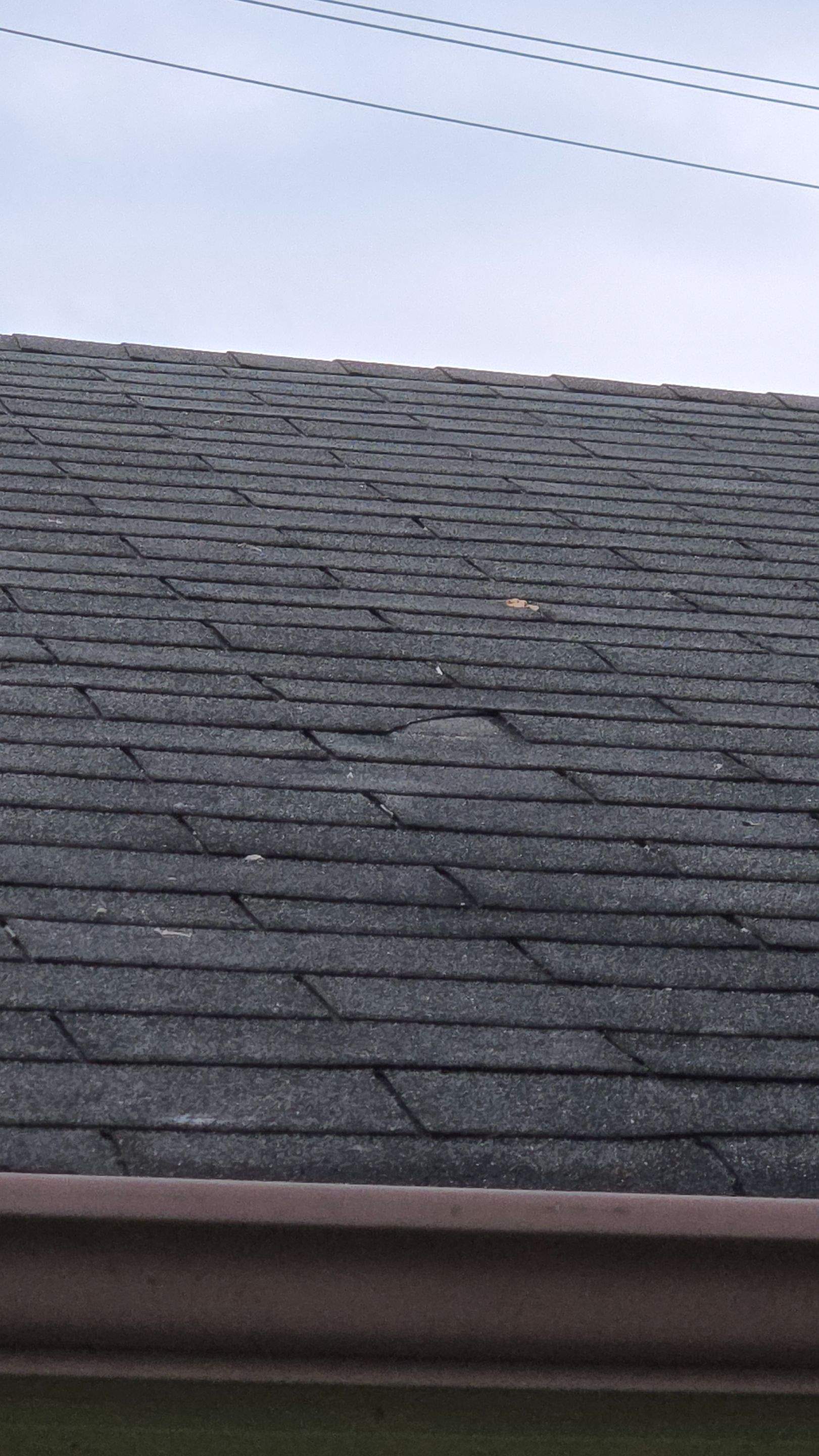 Residential Shingle Upgrade & Curb Appeal Refresh by Level Up Roofing and Restoration Services LLC