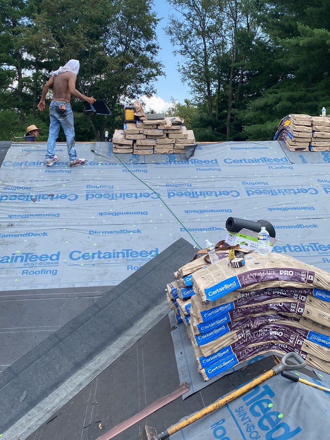 New Shingle Roof, New Skylights, New Windows, Repair T-1 11 panels by Alpha Design Services