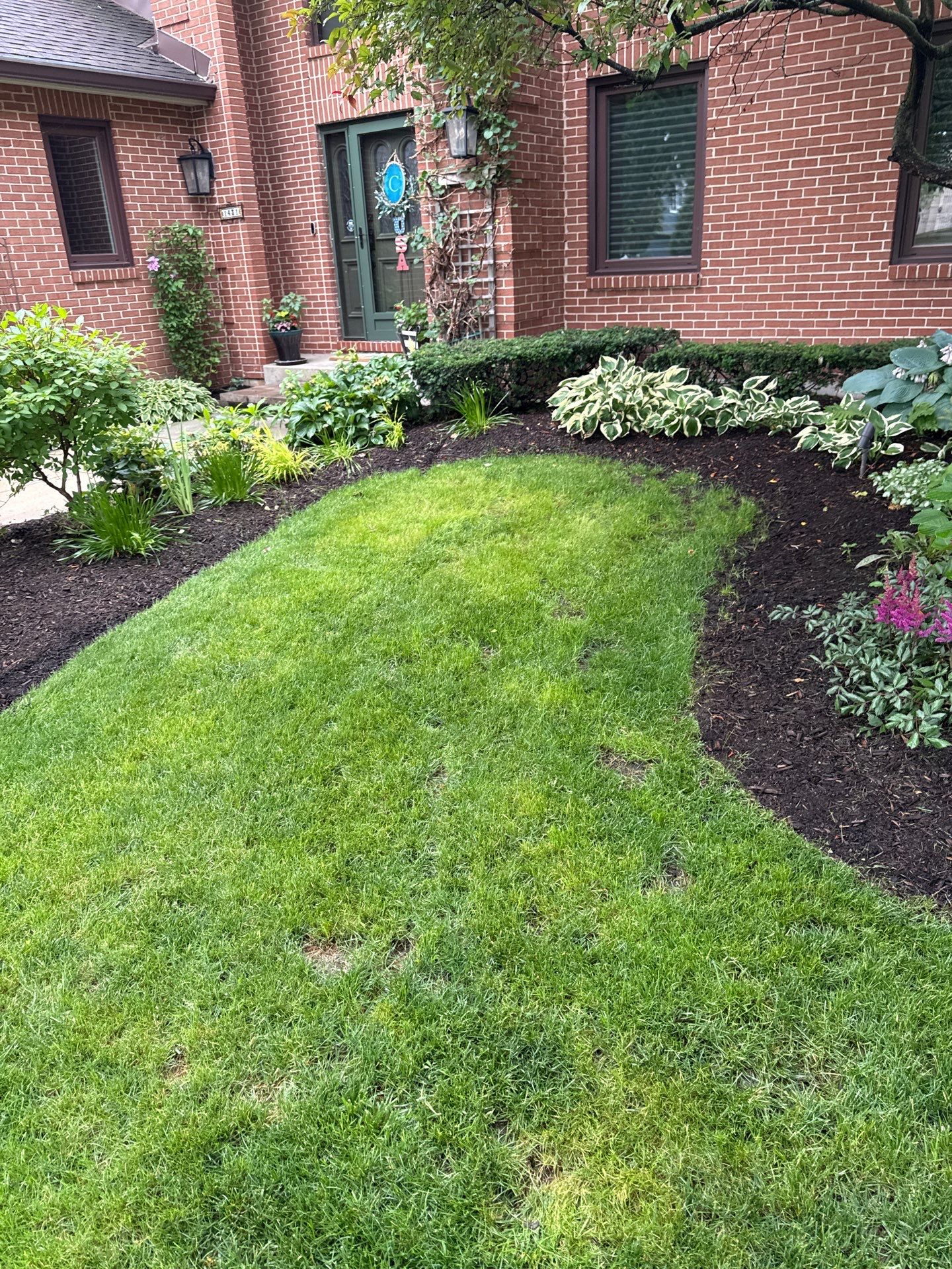 Laura C. - Mount Prospect, IL by A&N 