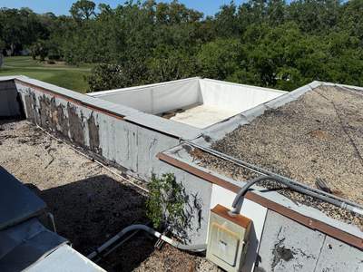 Project in Palm Harbor