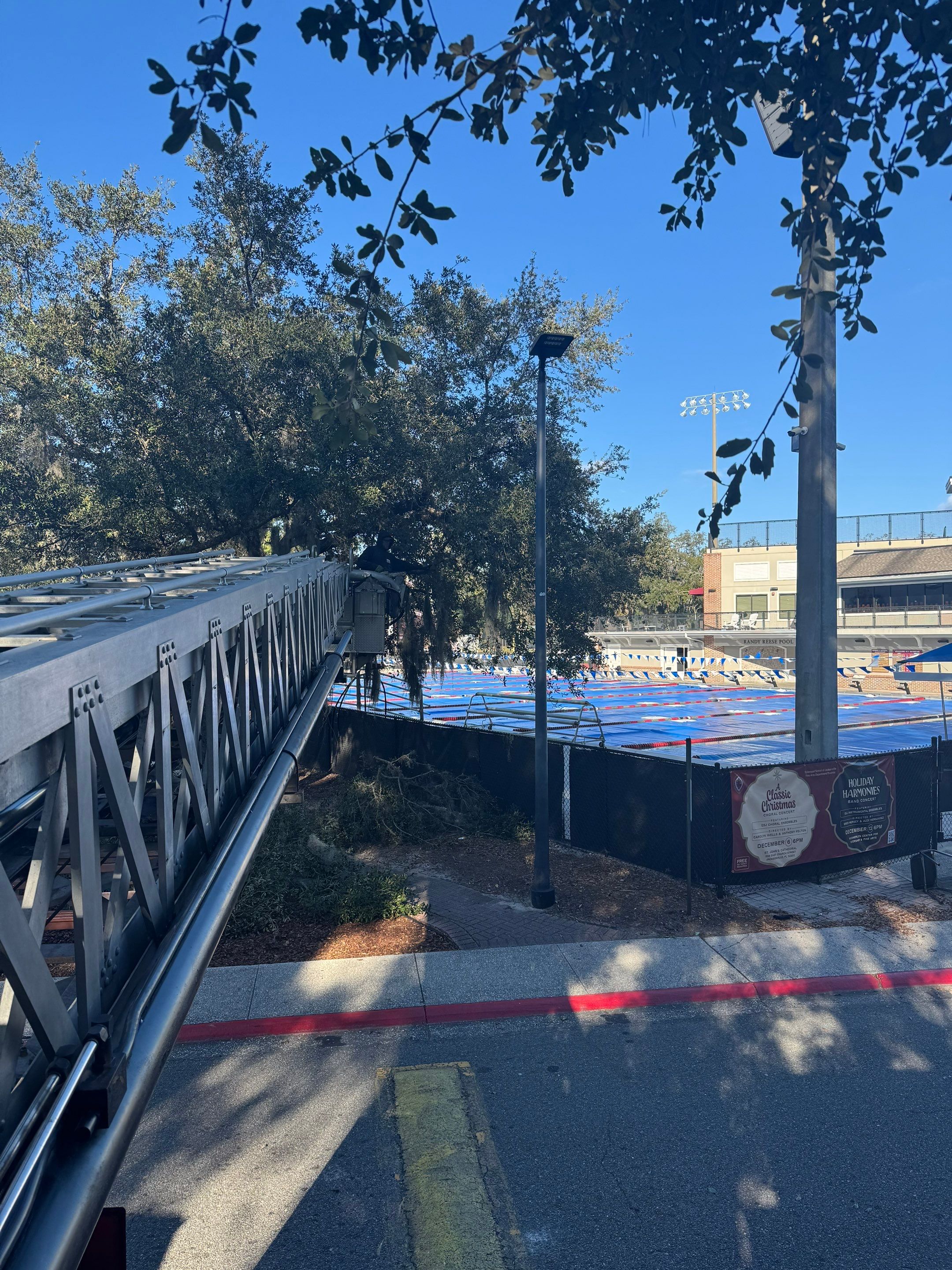 Volunteer Work | Episcopal High School of Jacksonville by ProGreen Services