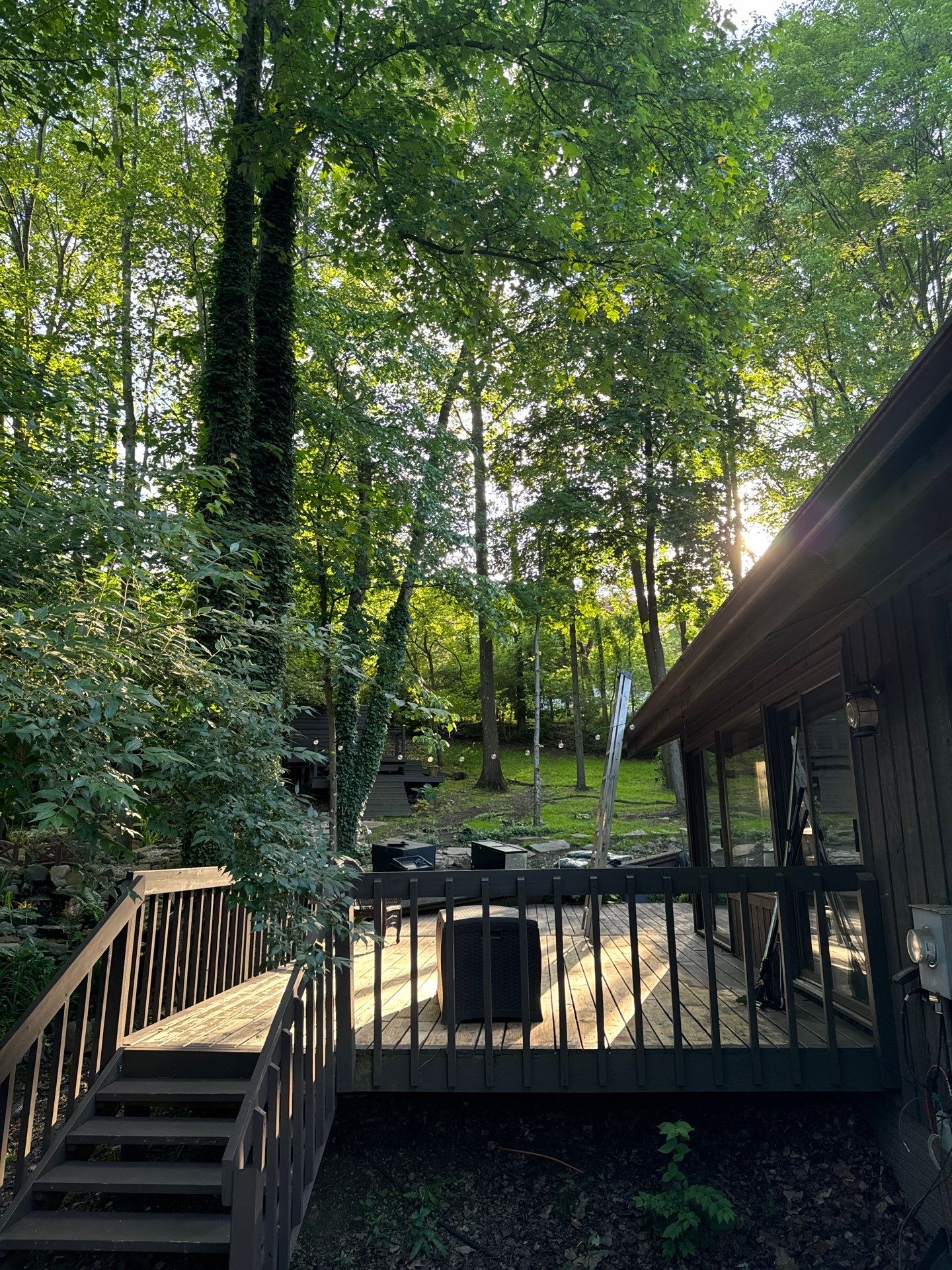 Tree Trimming using Tree Pruing by Mike Jones & Sons Tree Service LLC 