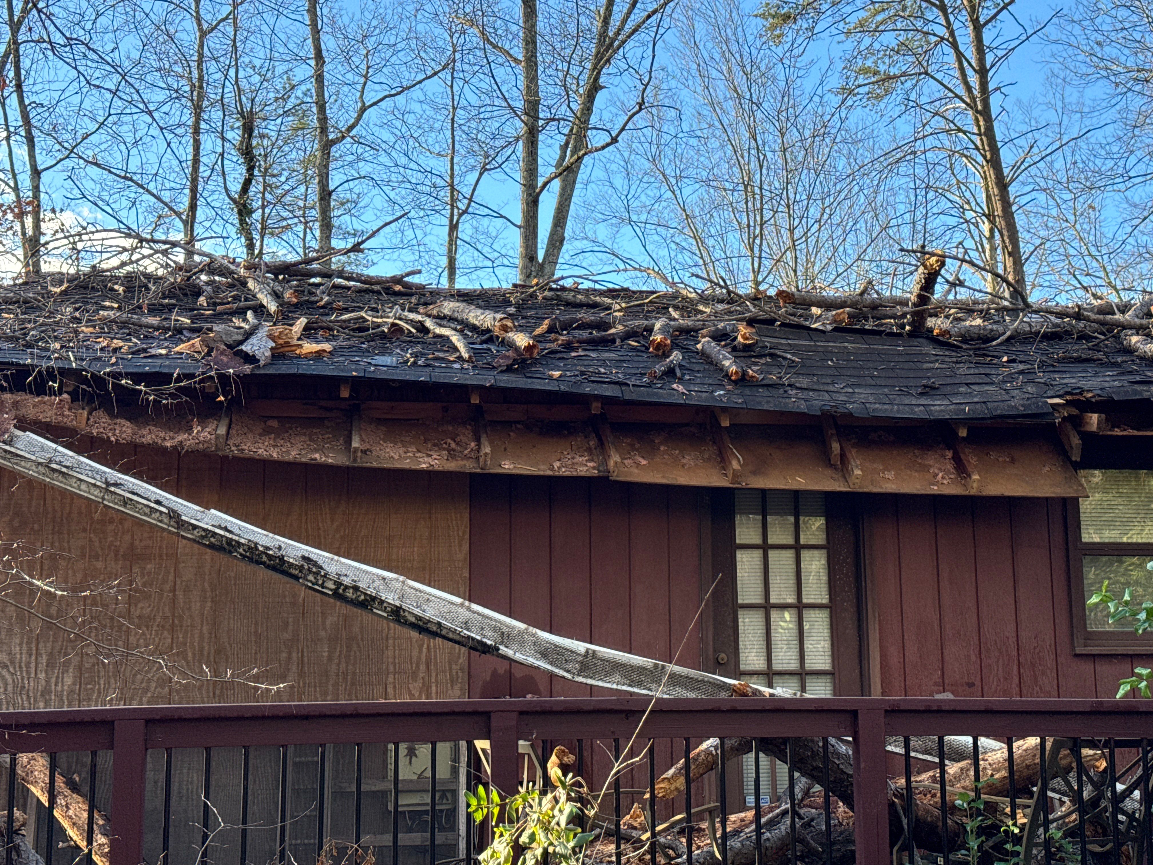 Tree Damage Restoration  using GAF Timberline HDZ by USA Storm Roofing and Construction Group