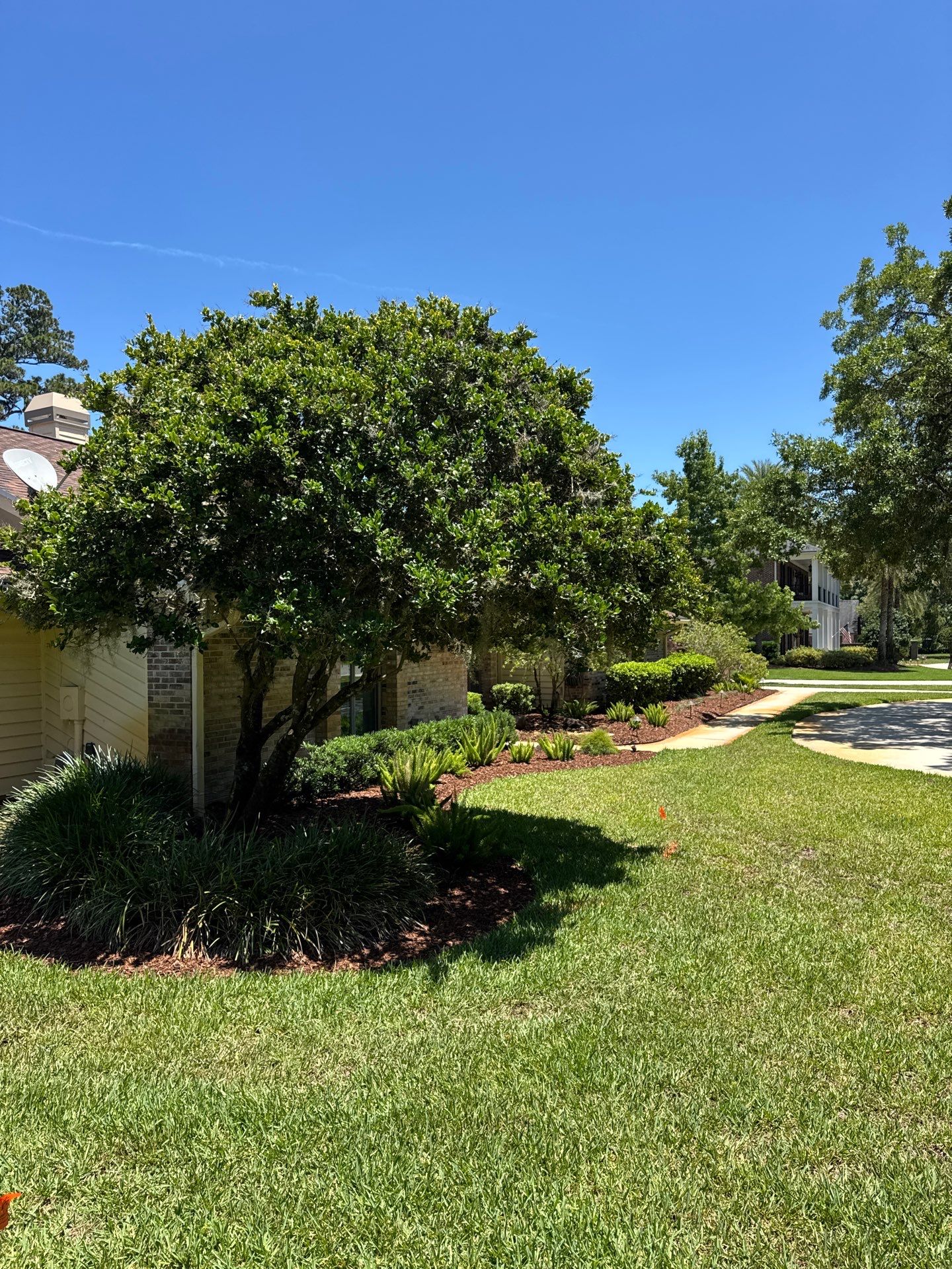 Deerwood Resident | Pine Bark Install & Clean-Up by ProGreen Services