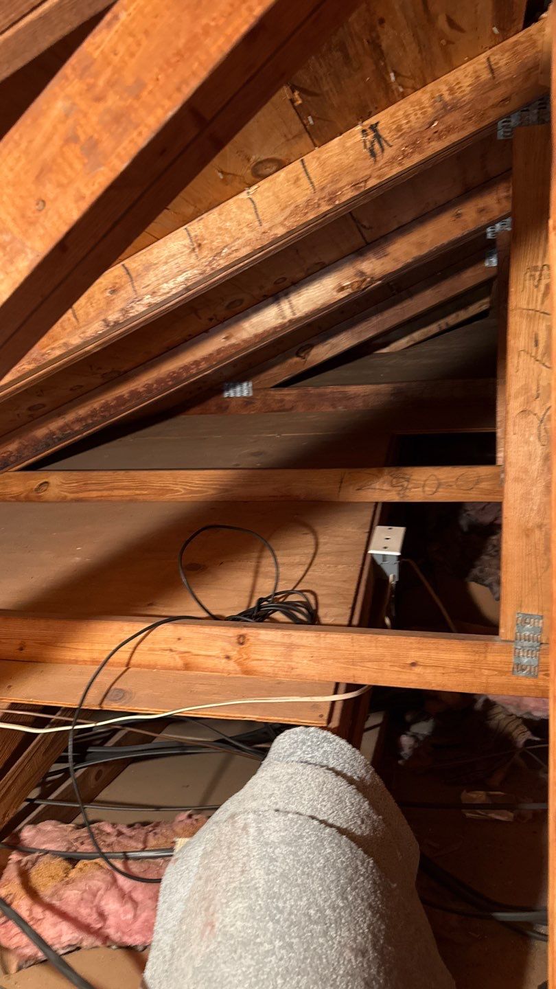 Architectural Shingle Roof Replacement and Attic Inspection in Orange City by Pinnacle Roofing Group