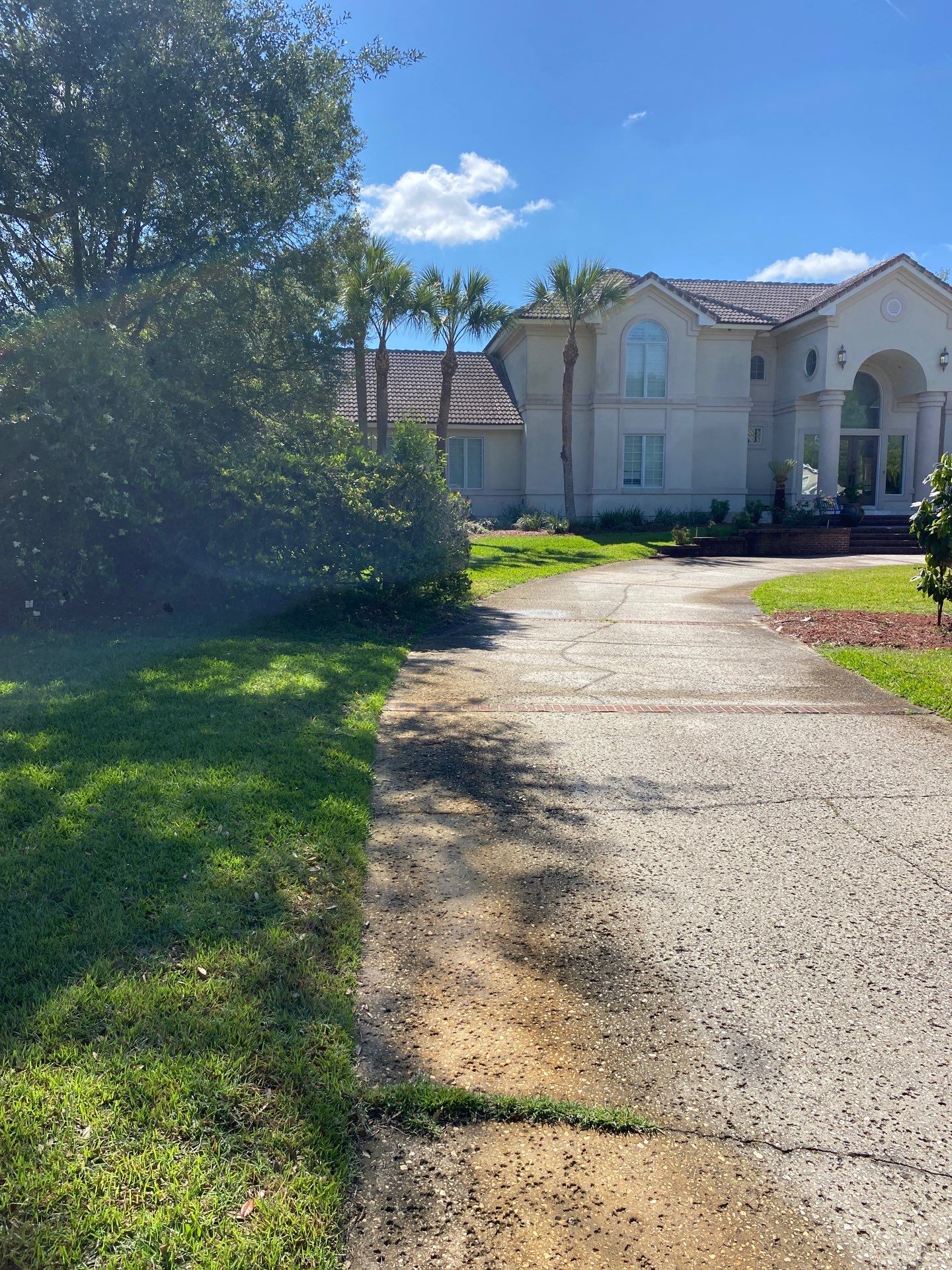 Deerwood Resident | Palm Tree Trimming & Clean-Up by ProGreen Services