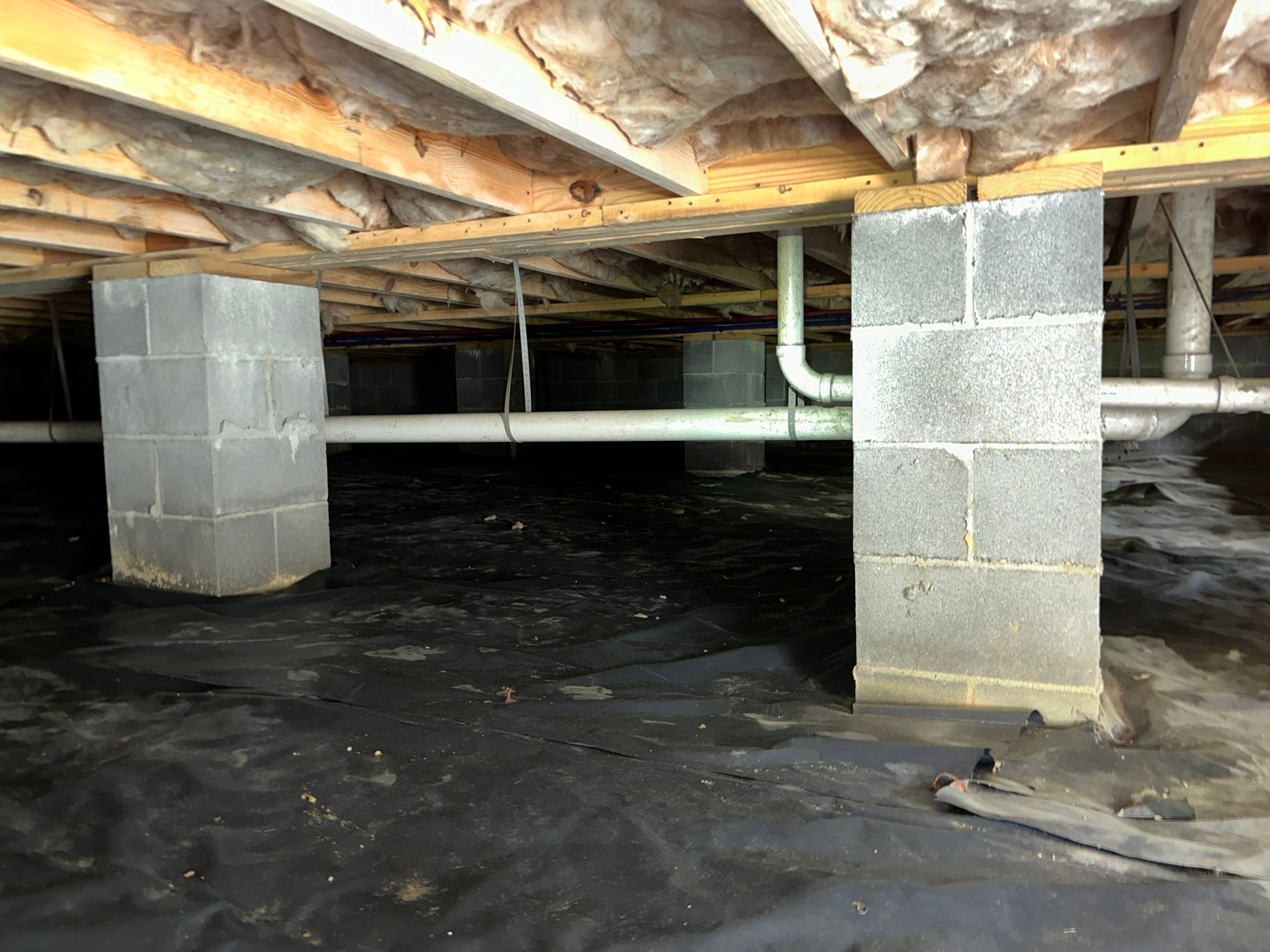 Premium Encapsulation with 20Mil, Borafoam insulation and Light System. by Impact Crawlspace
