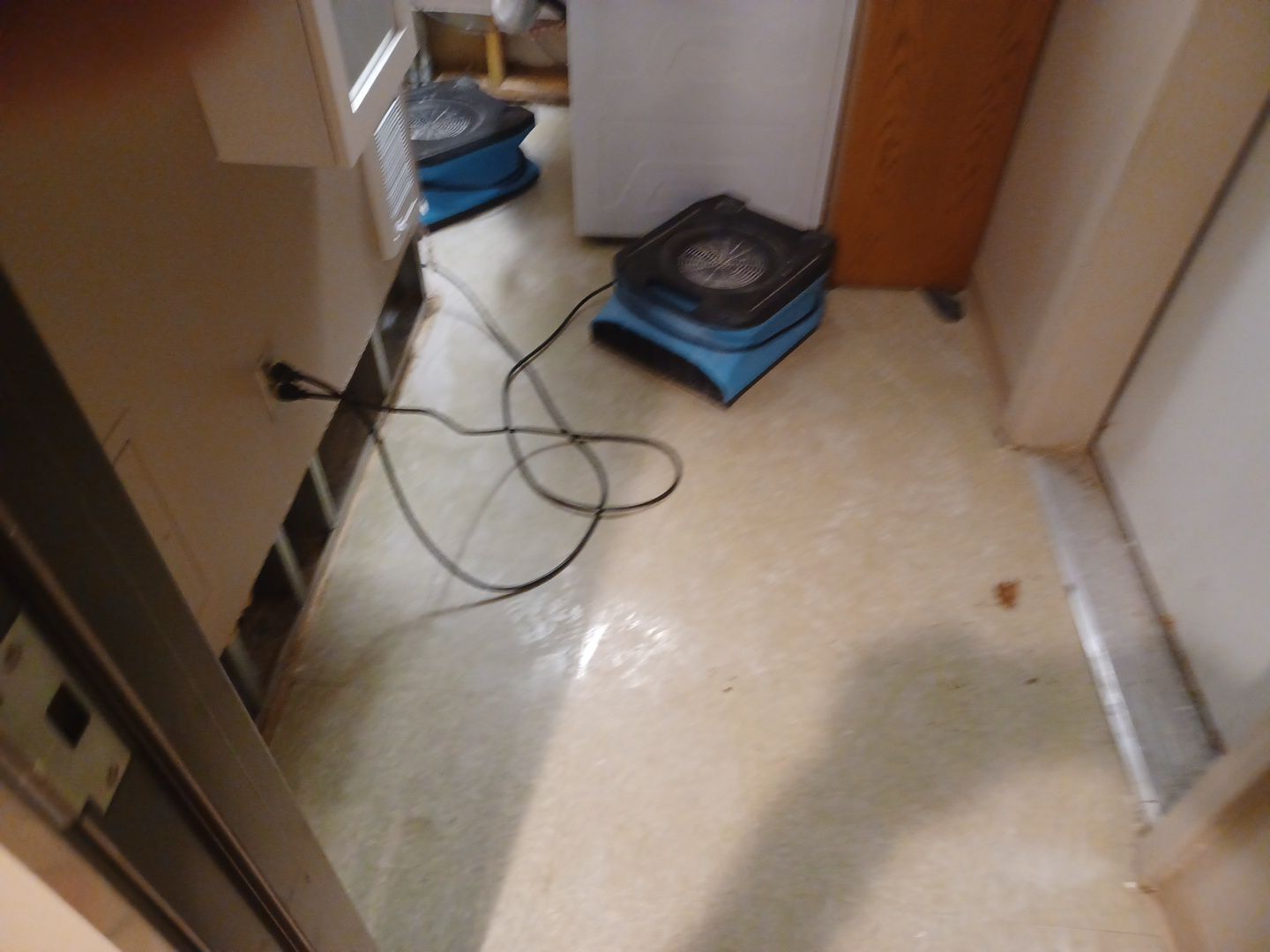 Project in Commerce Township by EzDry Water Mitigation & Property Restoration