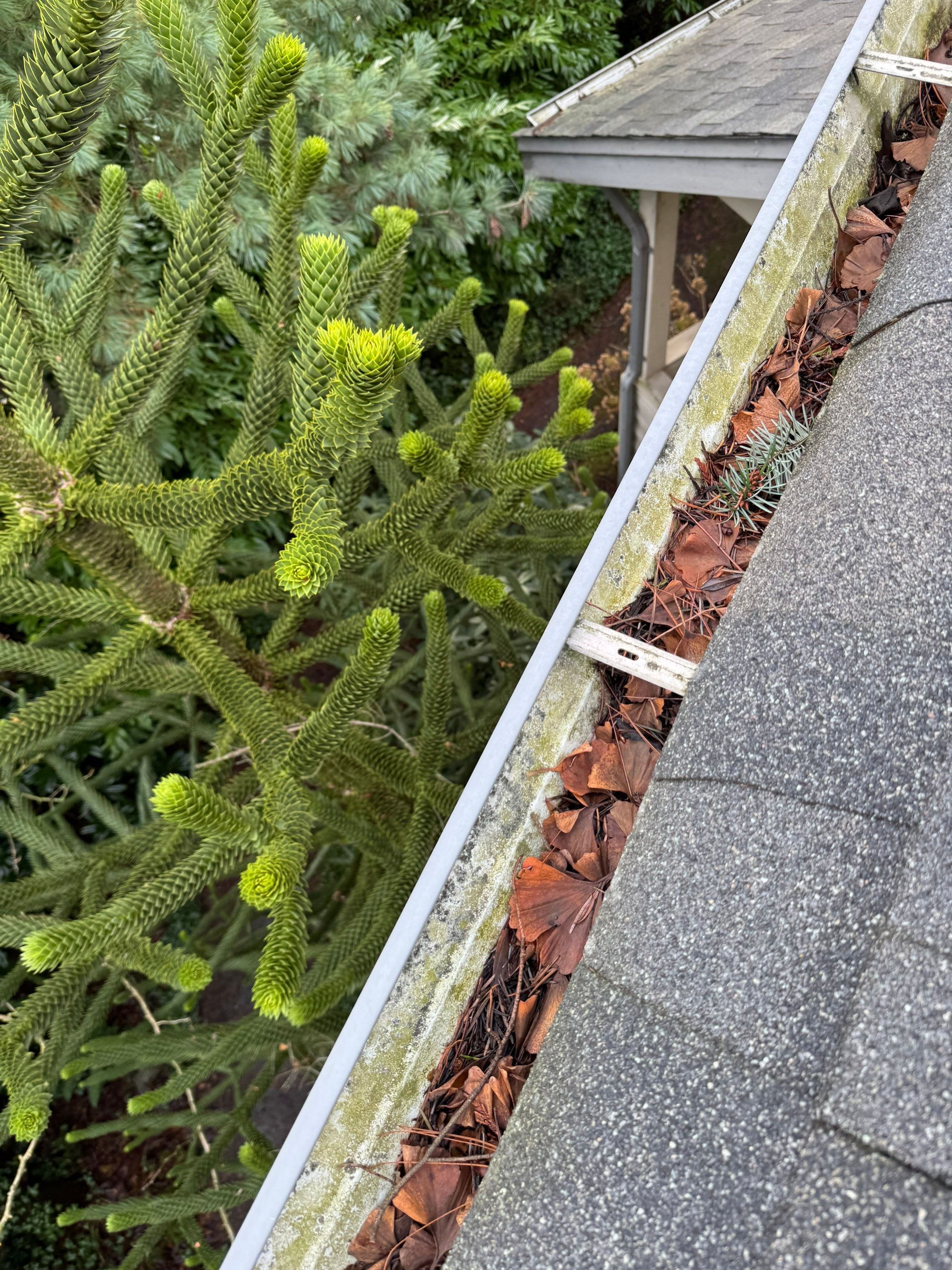 Gutter Cleaning by YVR Construction Group