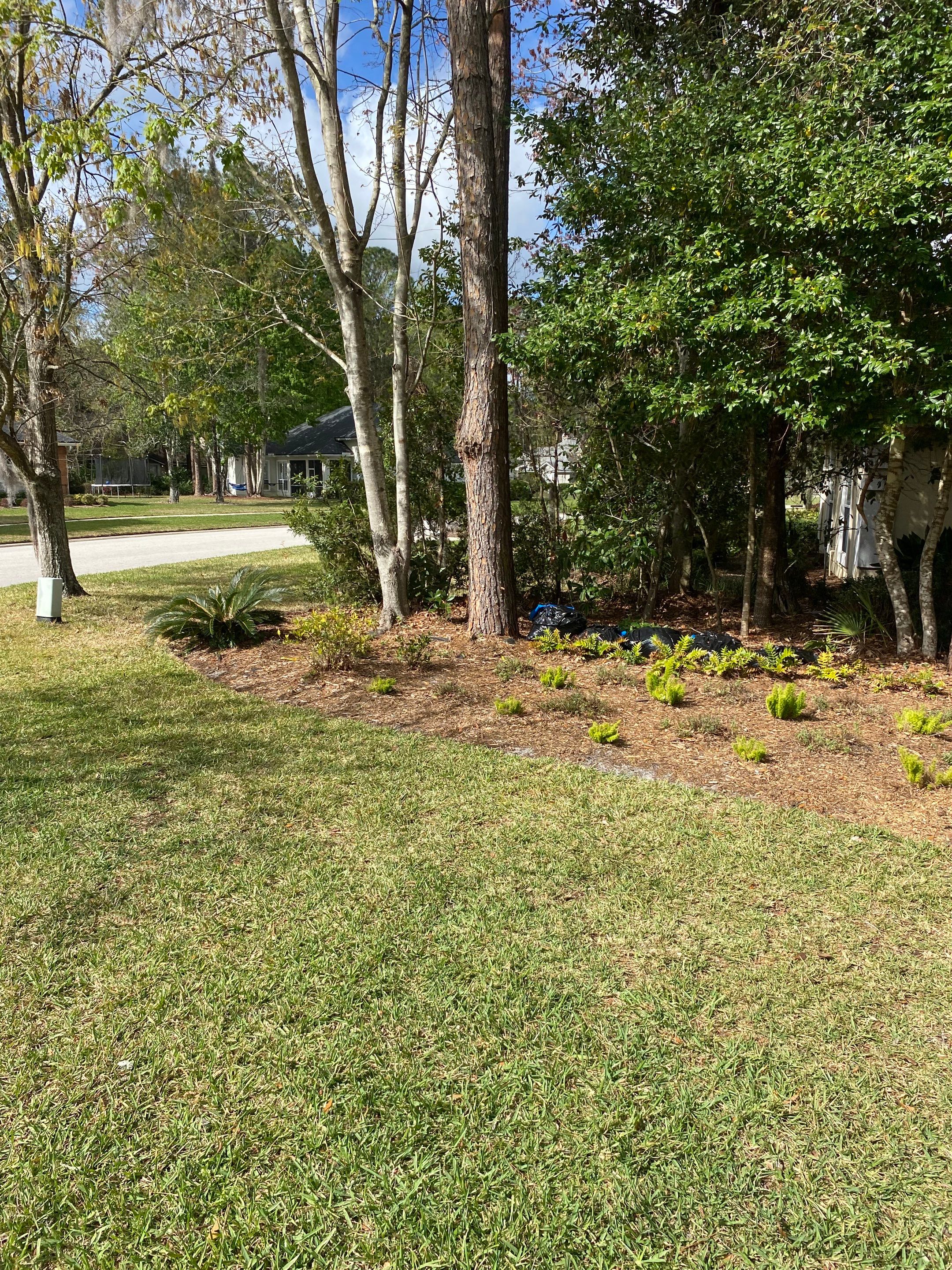 Residential | Landscaping by ProGreen Services