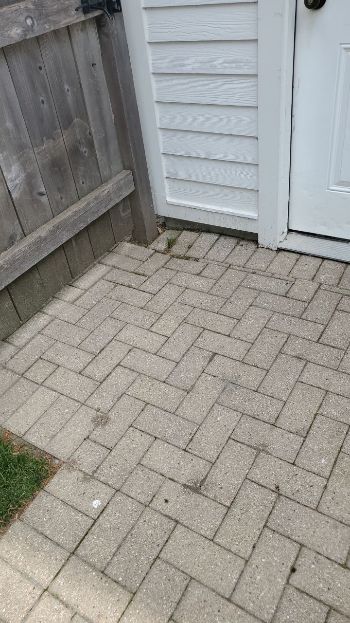 Brick patio repair, clean sand and seal by Northern Power Washing LLC.