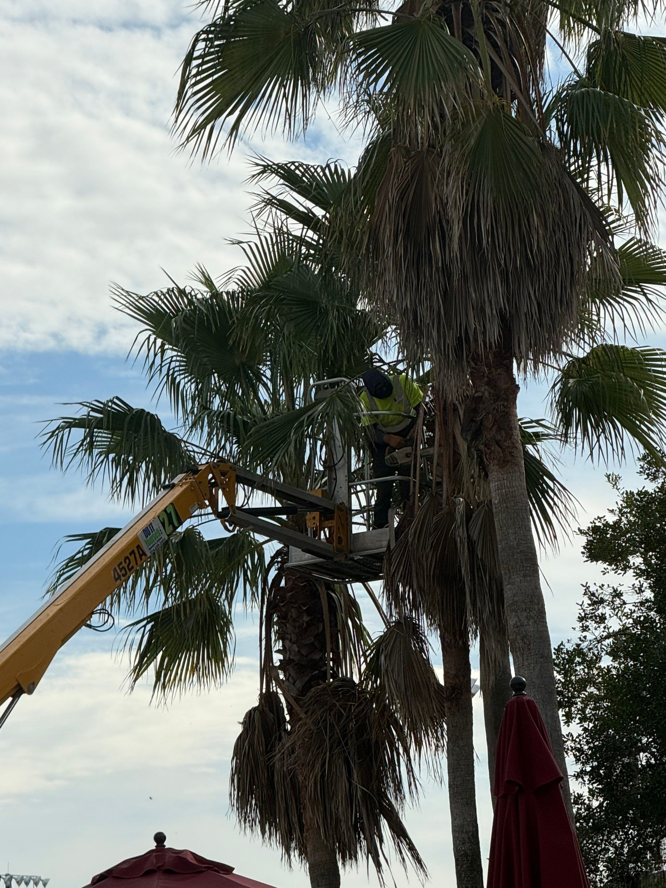 Volunteer Work | Episcopal High School of Jacksonville by ProGreen Services