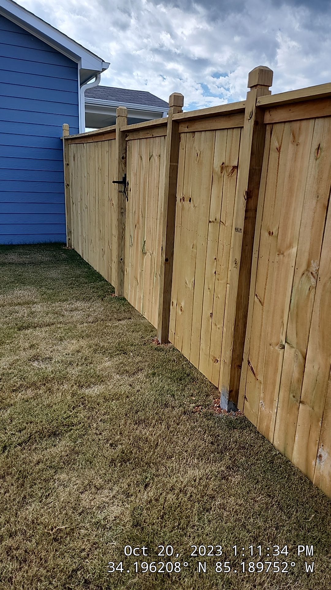Fence Staining using Chestnut by SSE by Titans of Timber Fence & Stain