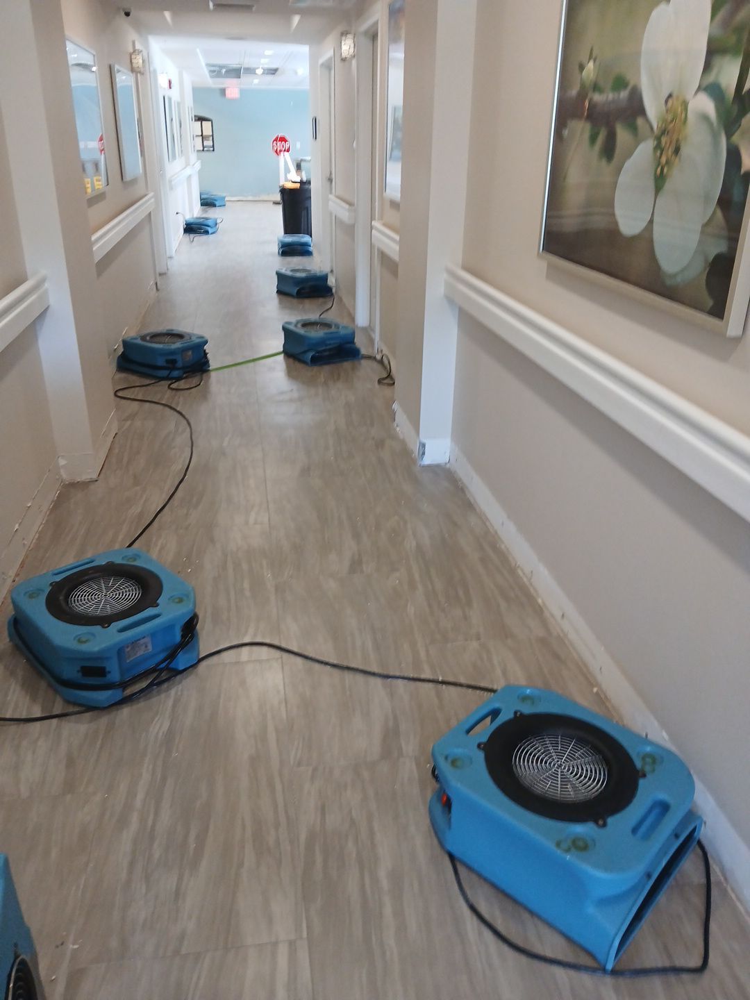 Commercial Water Damage Mitigation and Floor Drying in Boynton Beach by SuperClean
