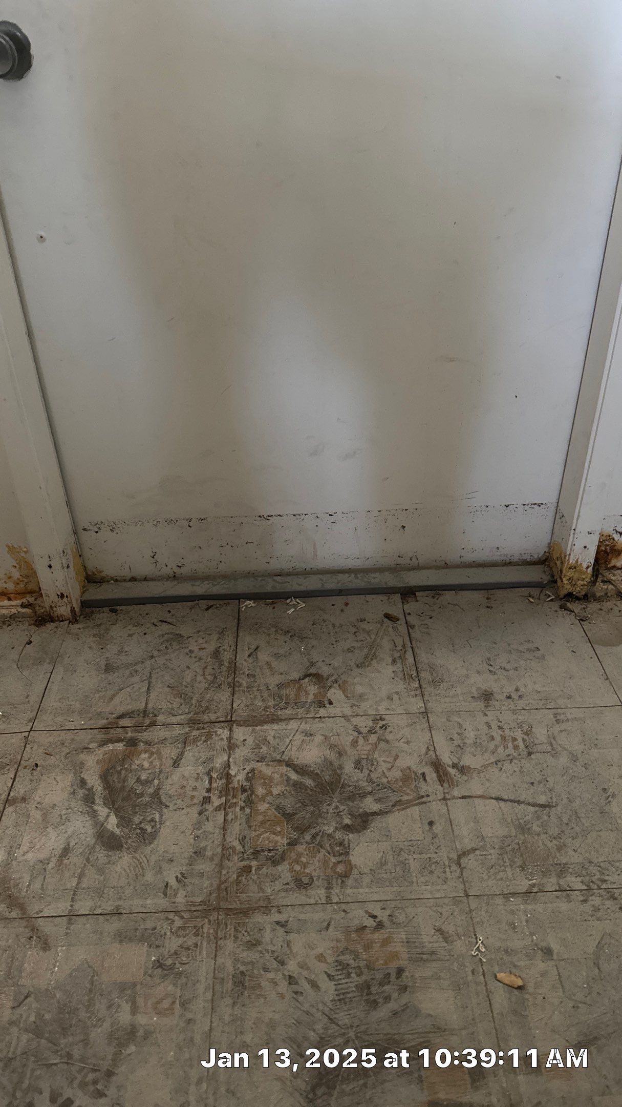 Mold Assessment using IR Camera, Moisture Meter, Air Cassette samples and Tape lifts by Building performance Solutions LLC