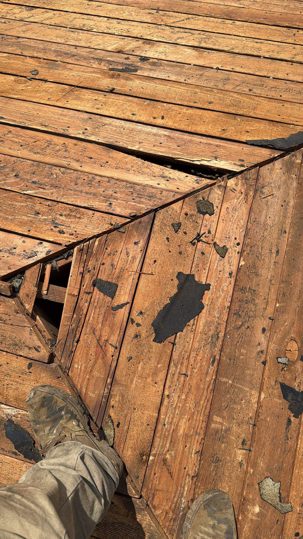 Roof Replacement - 12566 Mineola St by Epic Roof Replacement