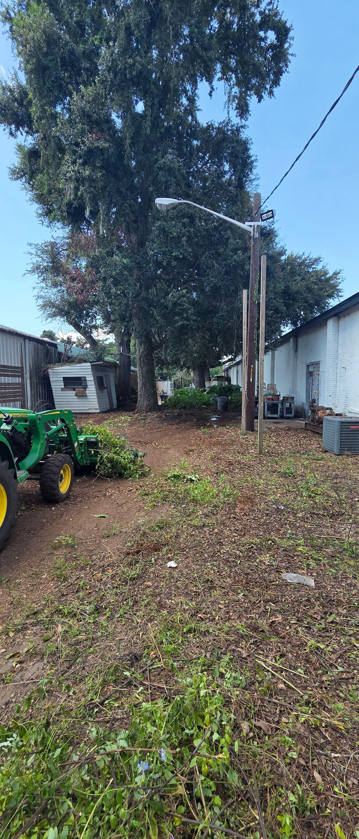 Commercial Property | Clean Up & Tree Removal by ProGreen Services