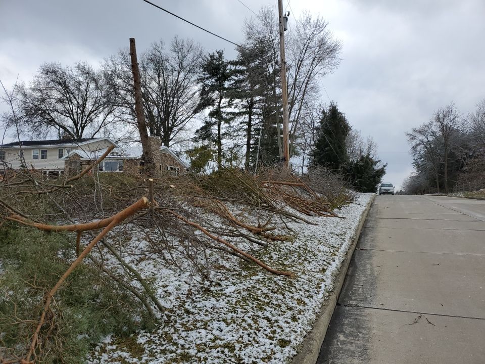 Tree Removal using Tree Removal by Mike Jones & Sons Tree Service LLC 