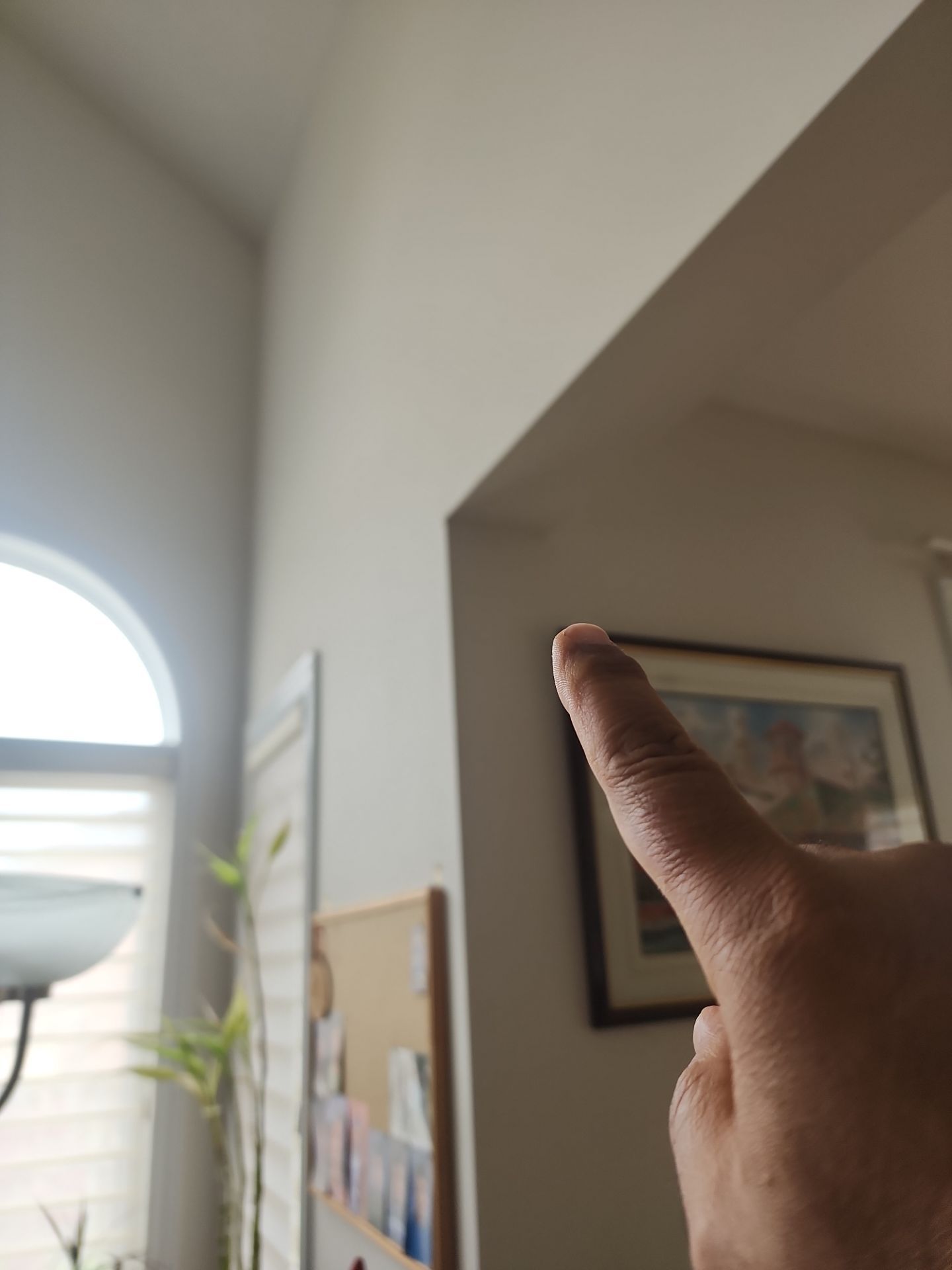 Project in Brampton by GTA HOME PAINTING