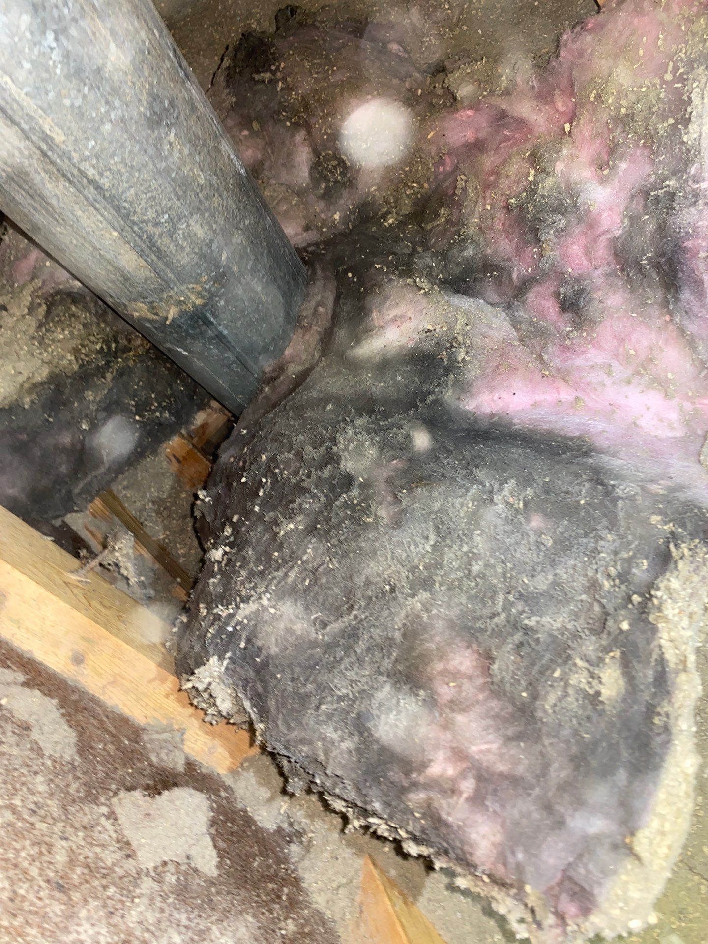 Seven Fields, PA – Attic Cleanup and Air Sealing for Better Comfort by Home Environment Solutions