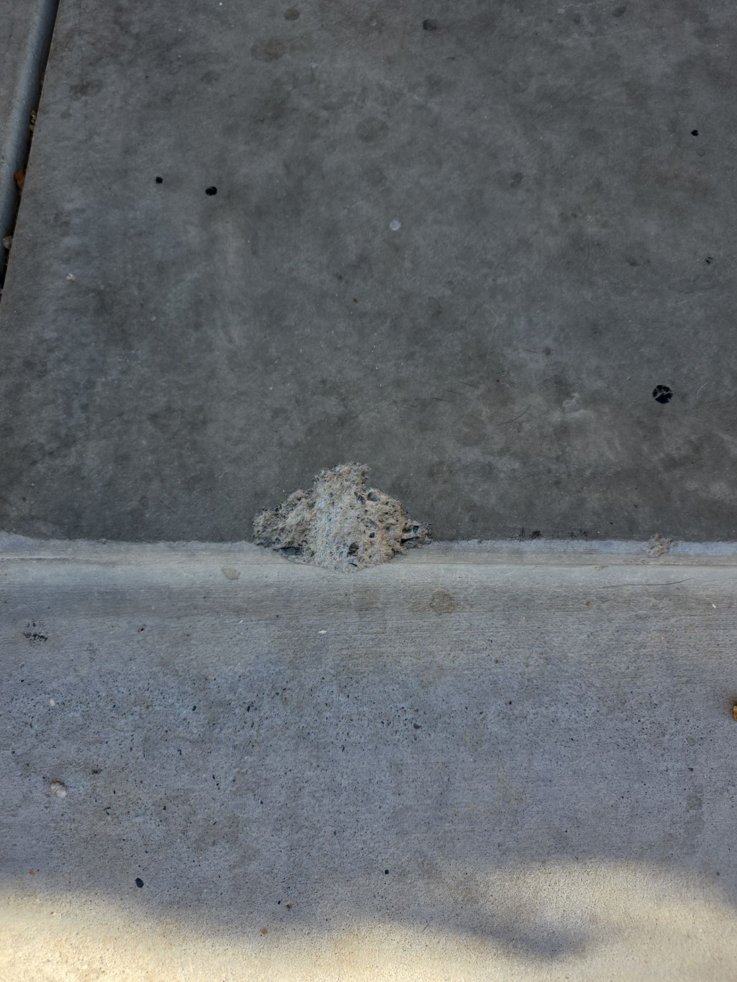 Paso Robles Garage Makeover with Domino Polyurea Concrete Coating by MGP Coatings