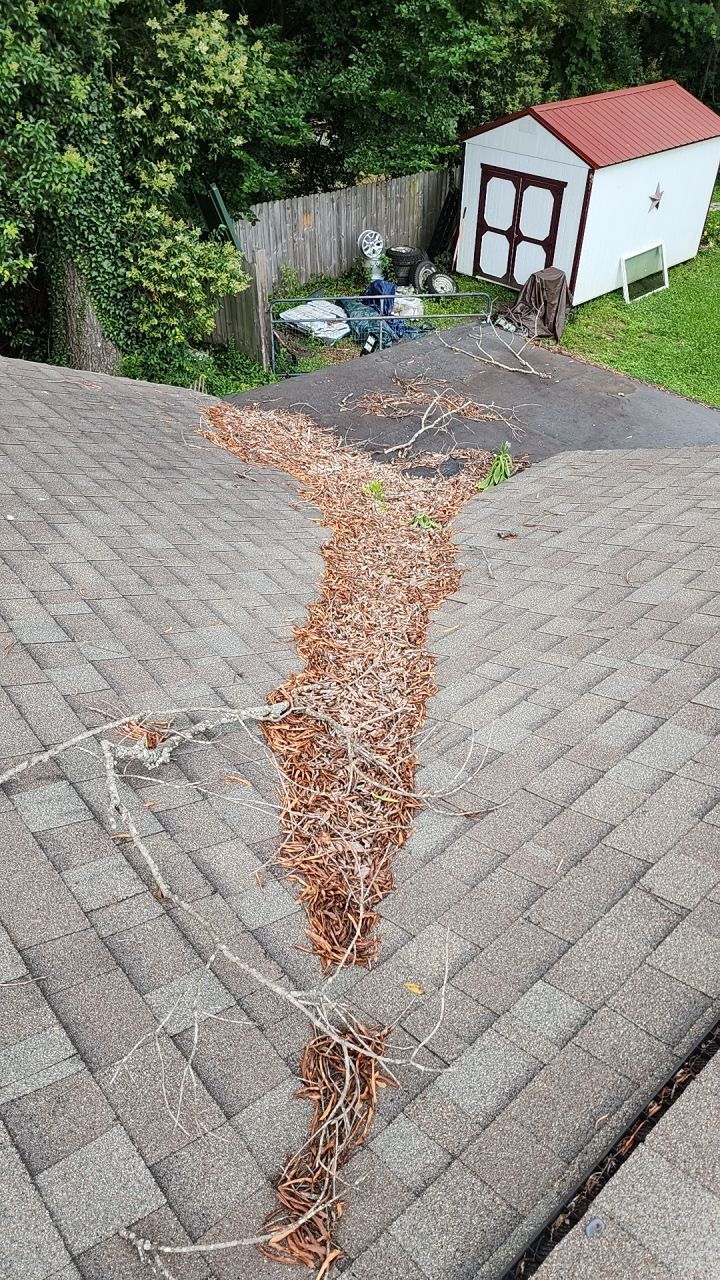 House Wash using cleaner by Power Wash Masters LLC