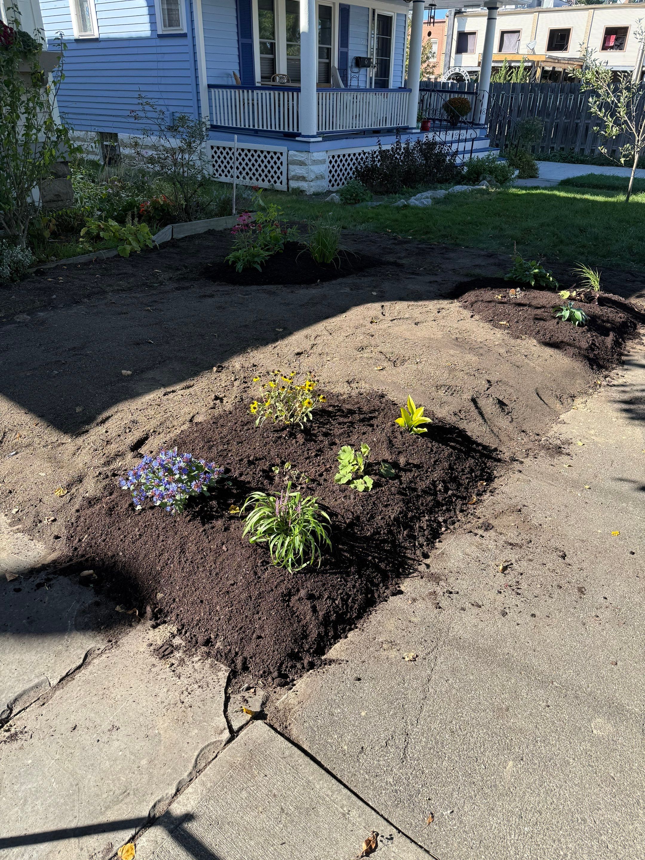 Purple Fence Project by Elm Rose Gardens
