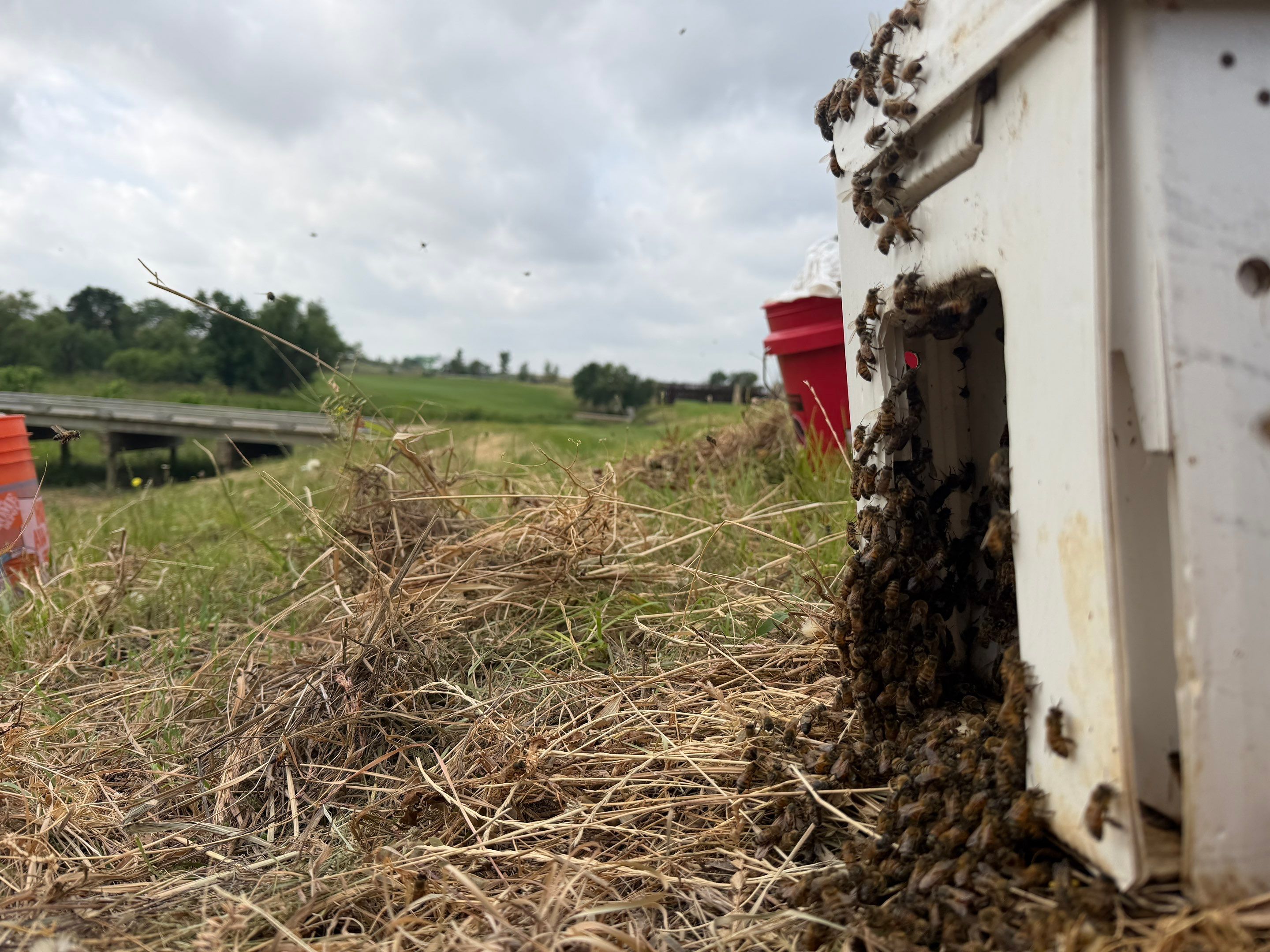 PGA GOLF COURSE by Rockwall Honey Bee Company