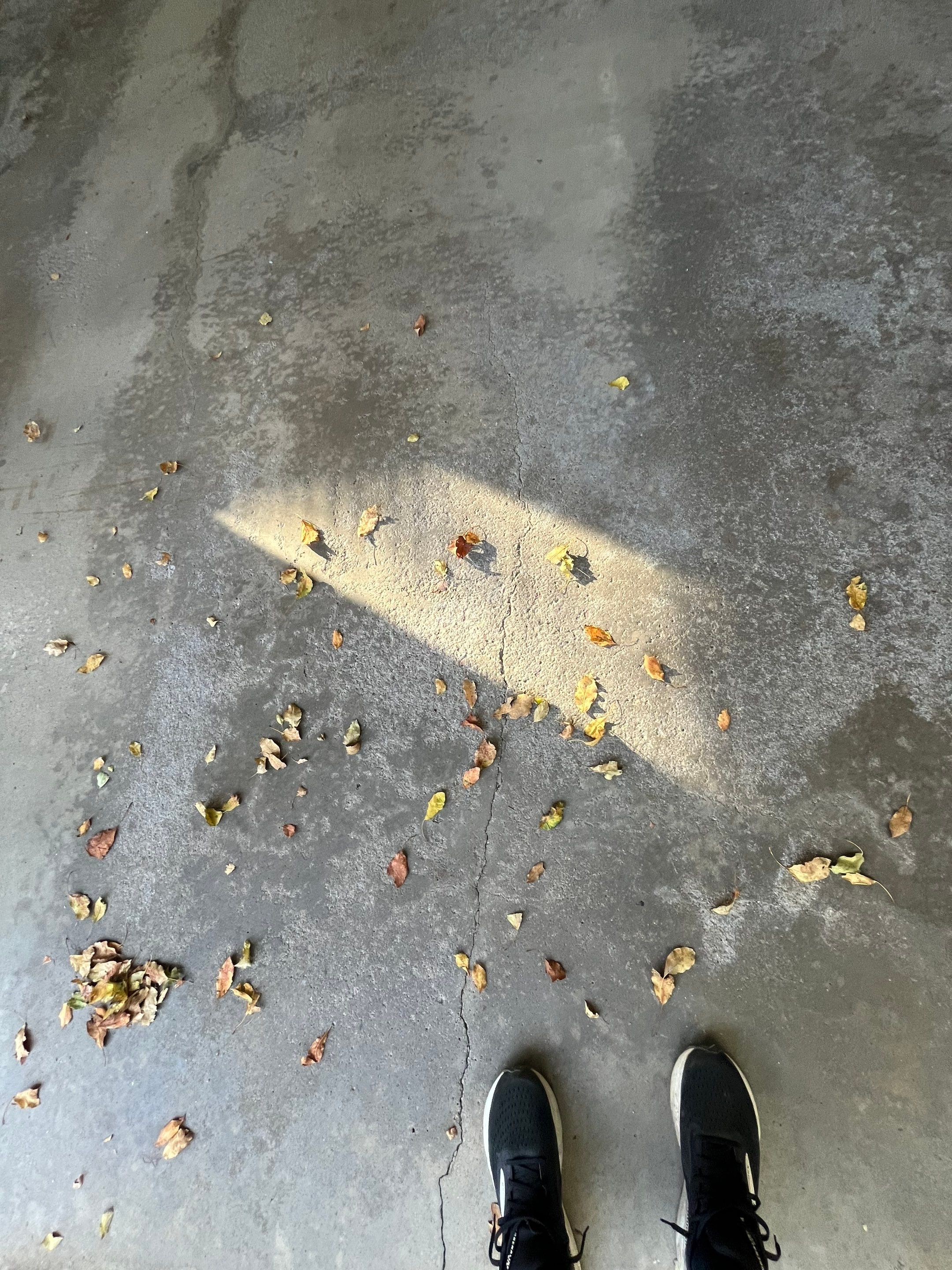 Multi-Colored Flake Epoxy Garage Floor Coating and Crack Repair by Select Painting, Coatings & Garage Cabinets