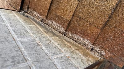 Turtle Shell gutter protection installation in Woodridge, IL 60517, photograph 15