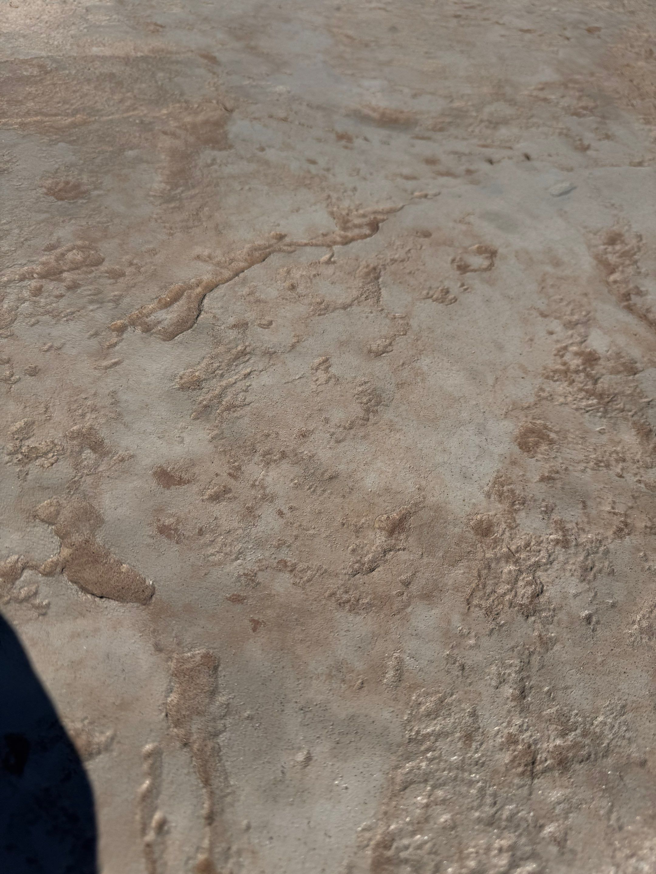 stamped concrete pool deck  by Architectural Concrete Design