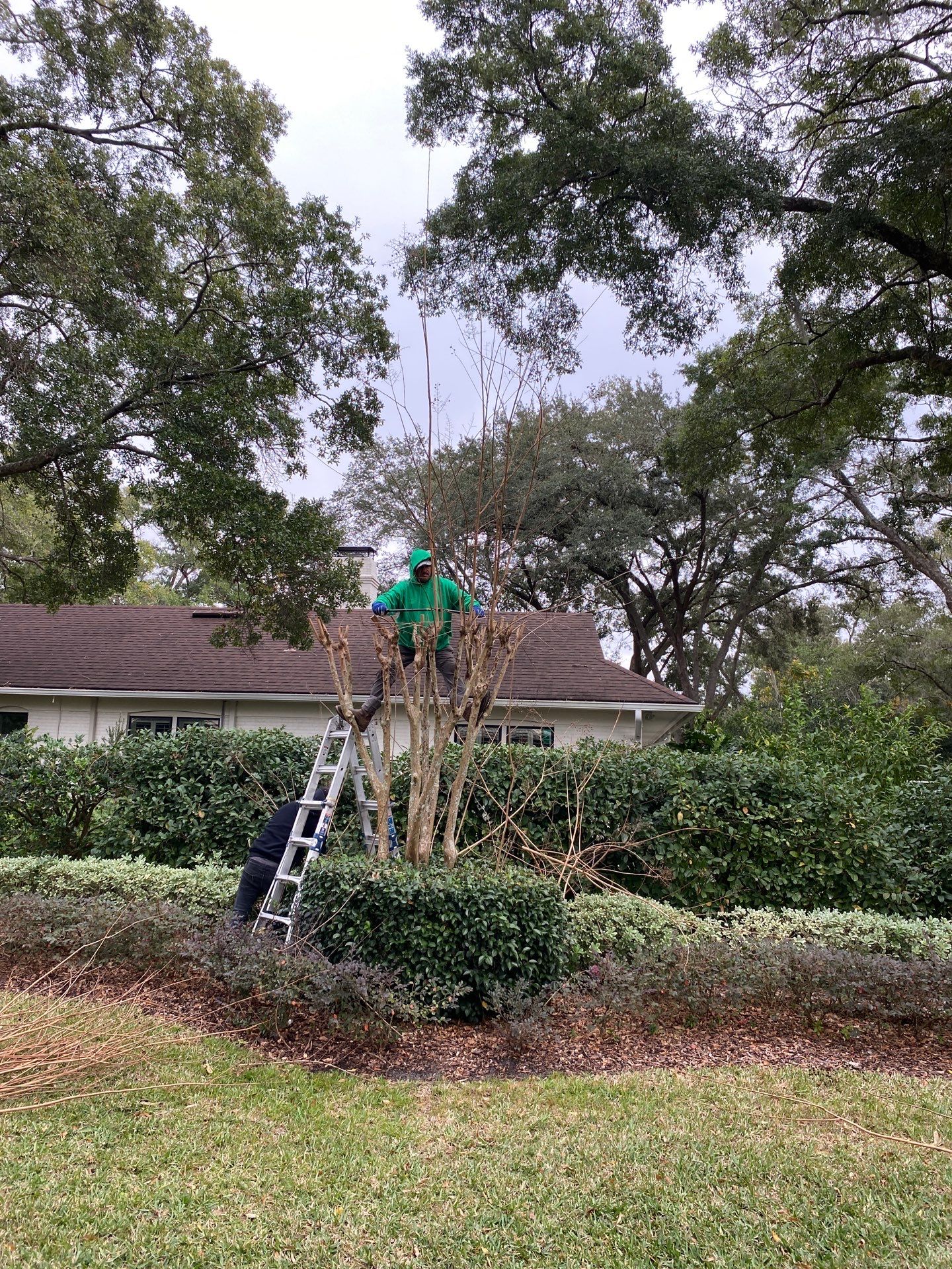 Deerwood Residence | Tree Trimming by ProGreen Services