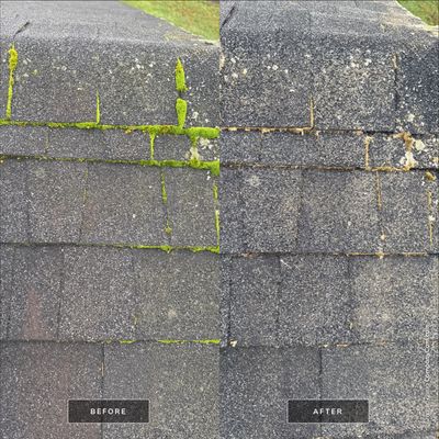 Shingle Transformation - Otis