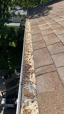 Turtle Shell gutter protection installation in Glen Ellyn, IL 60137, photograph 8