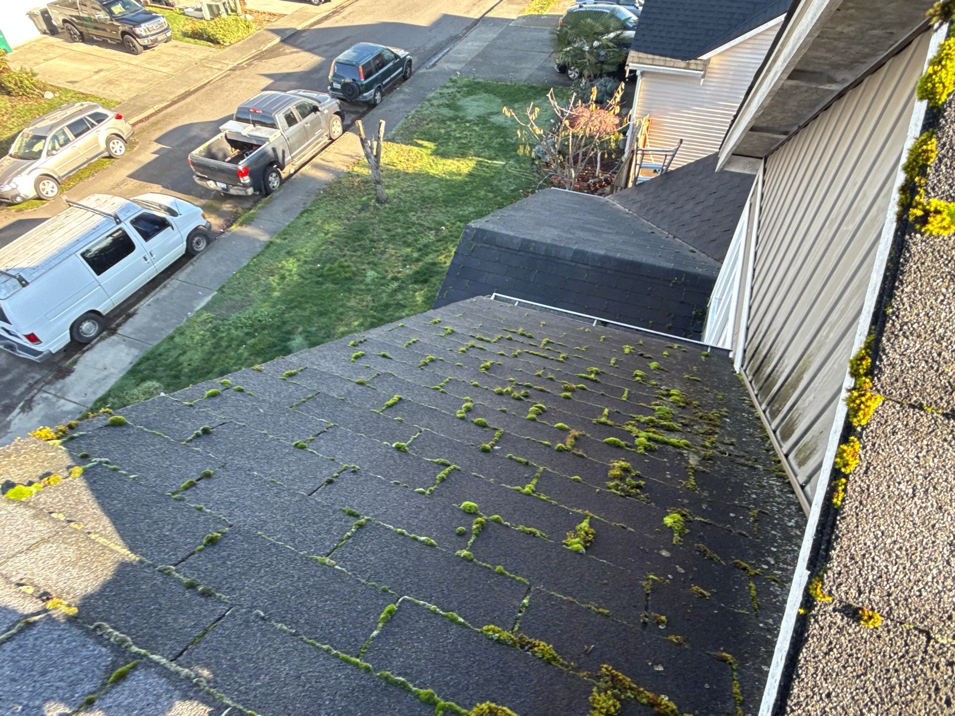 Timberline NS Project in Pacific WA by Proline Roofing & Restoration LLC