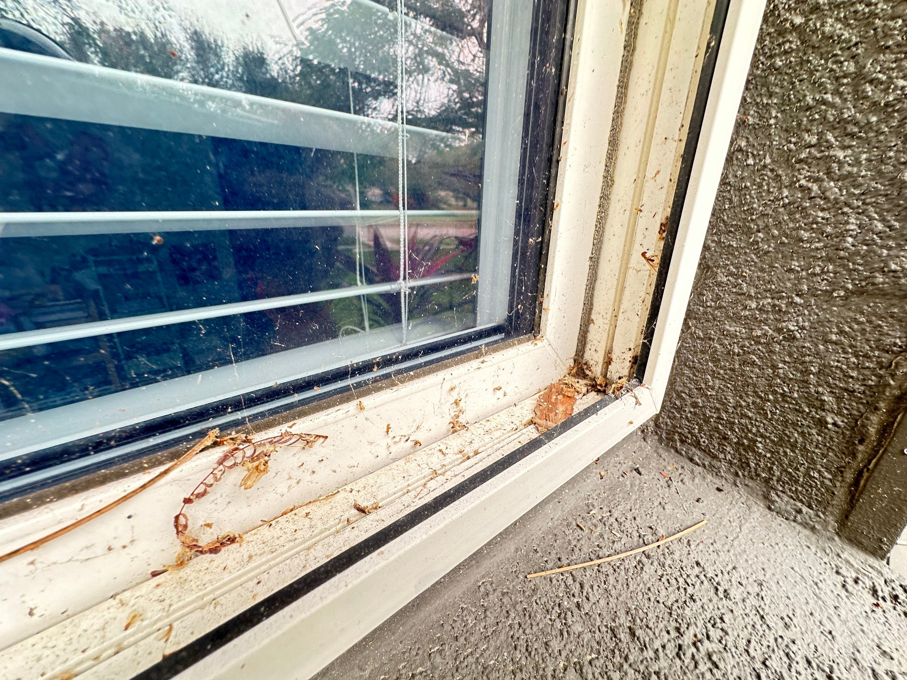 Water Damage Claim in St. Petersburg by FLAPA & KeyStone