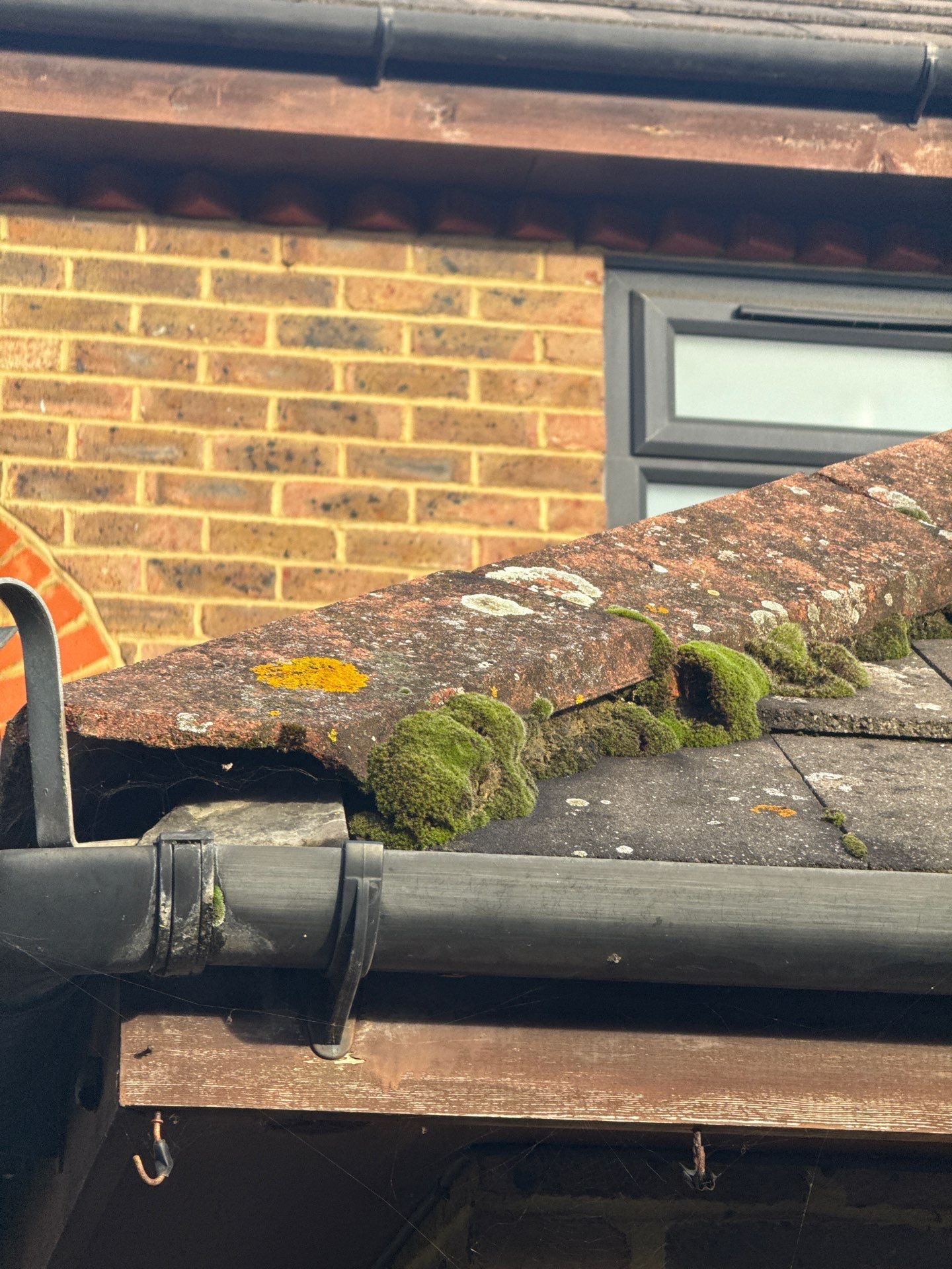 Roof Cleaning by Ges Exterior Cleaning ltd