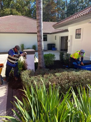 Deerwood Residence | Sod Repair & Mulch Installation 
