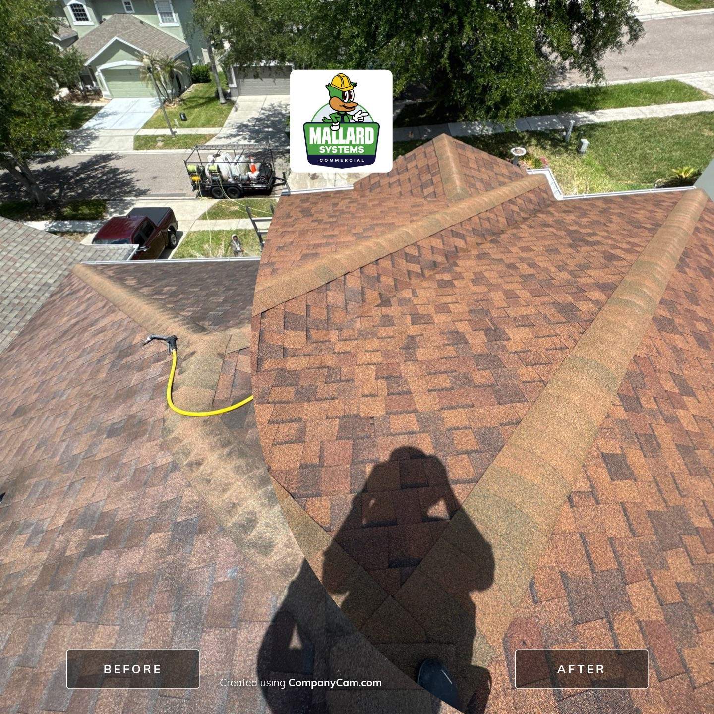 Shingle Roof Cleaning by Mallard Systems