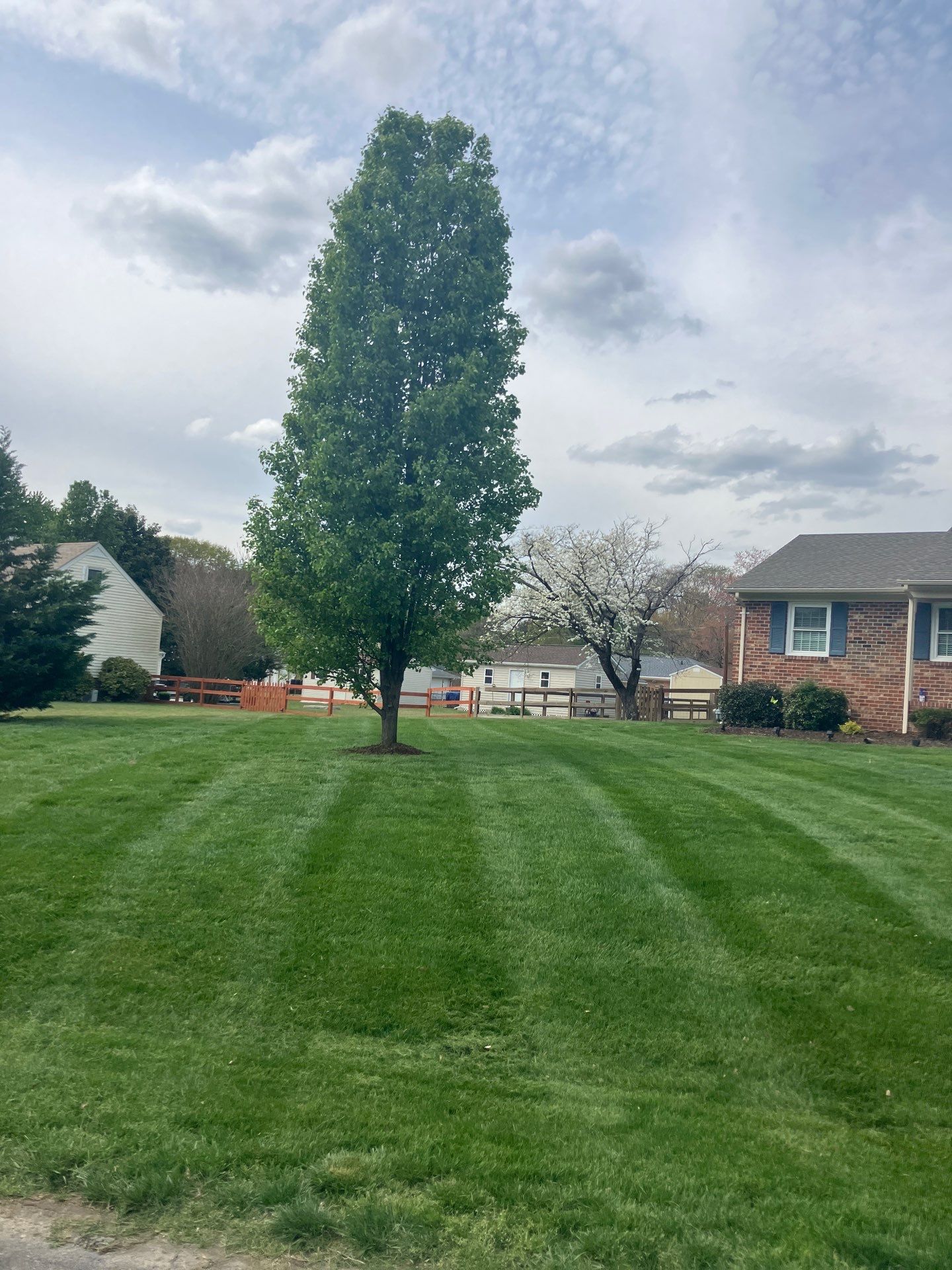 Executive Lawn and Landscape featured photo.